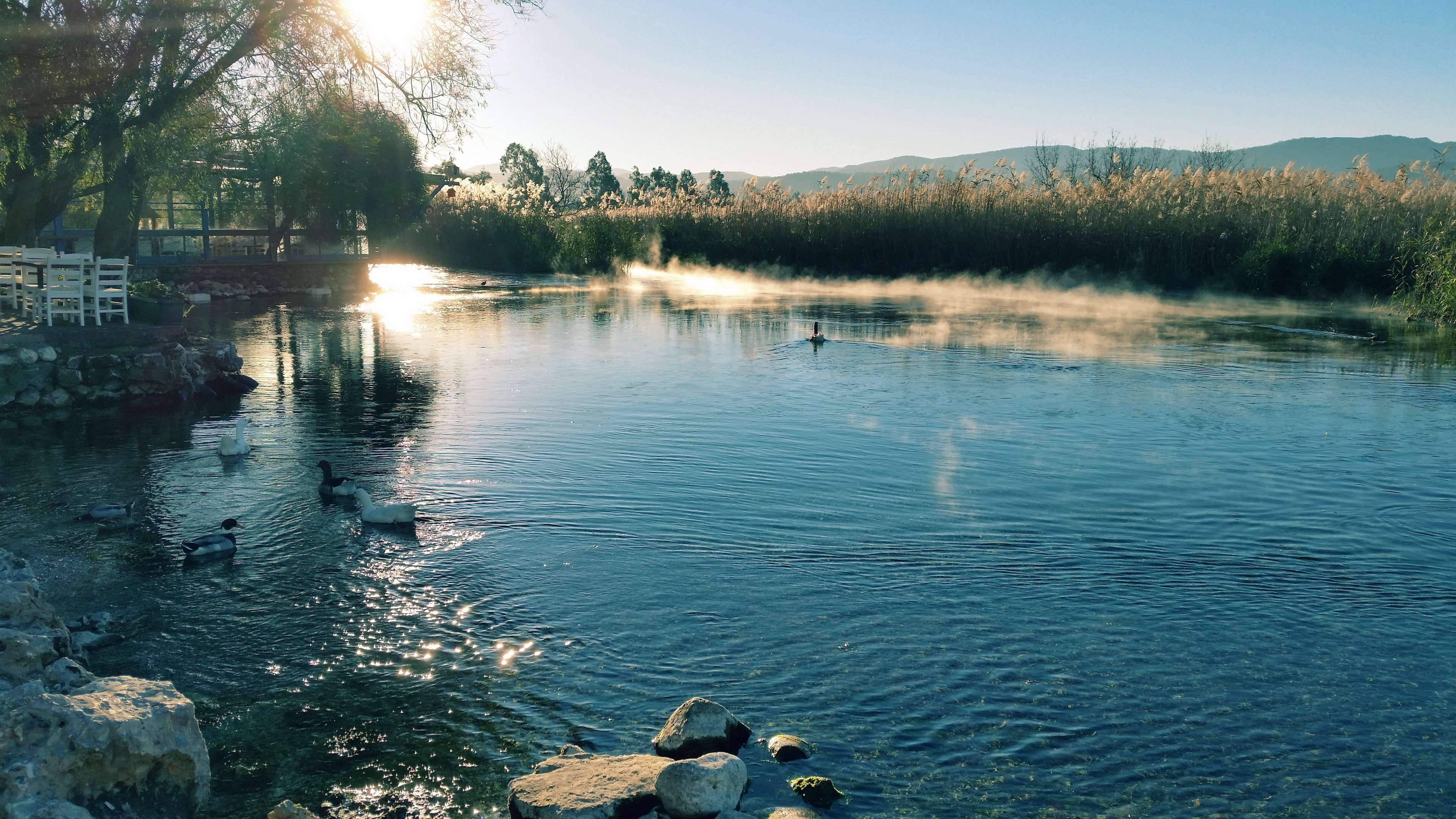 cool morning, riverside, misty lake, 4K Desktop Wallpaper