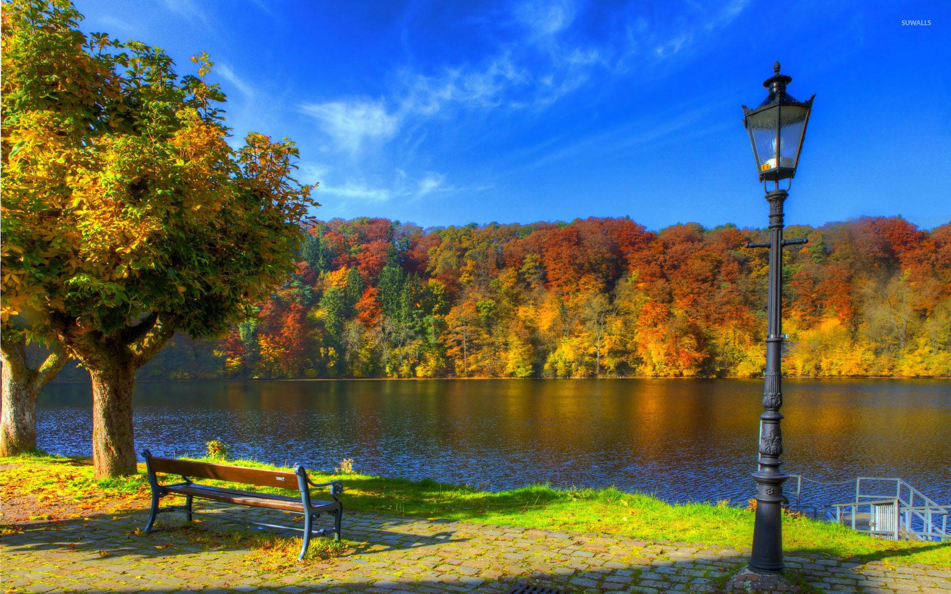 park bench, riverside, autumn, Full HD Desktop Wallpaper