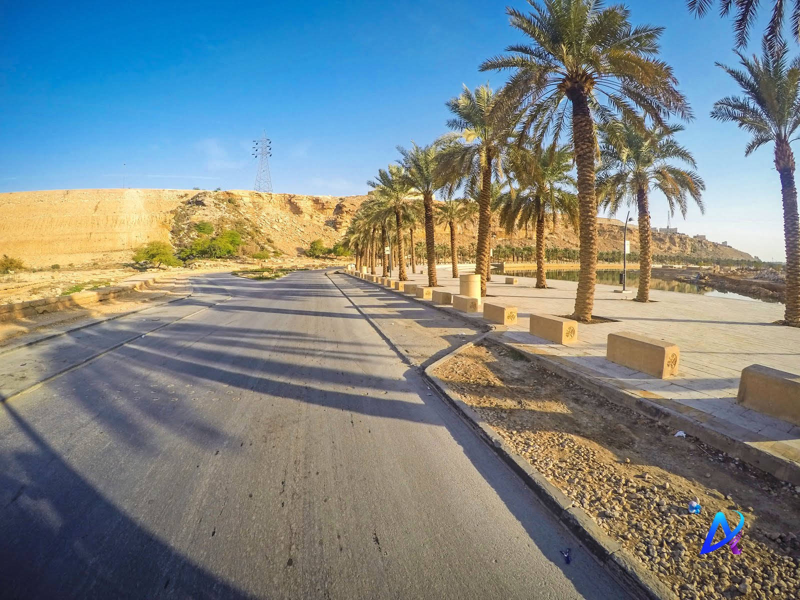 Palm Trees, Riyadh, Desert road, HD Desktop Wallpaper