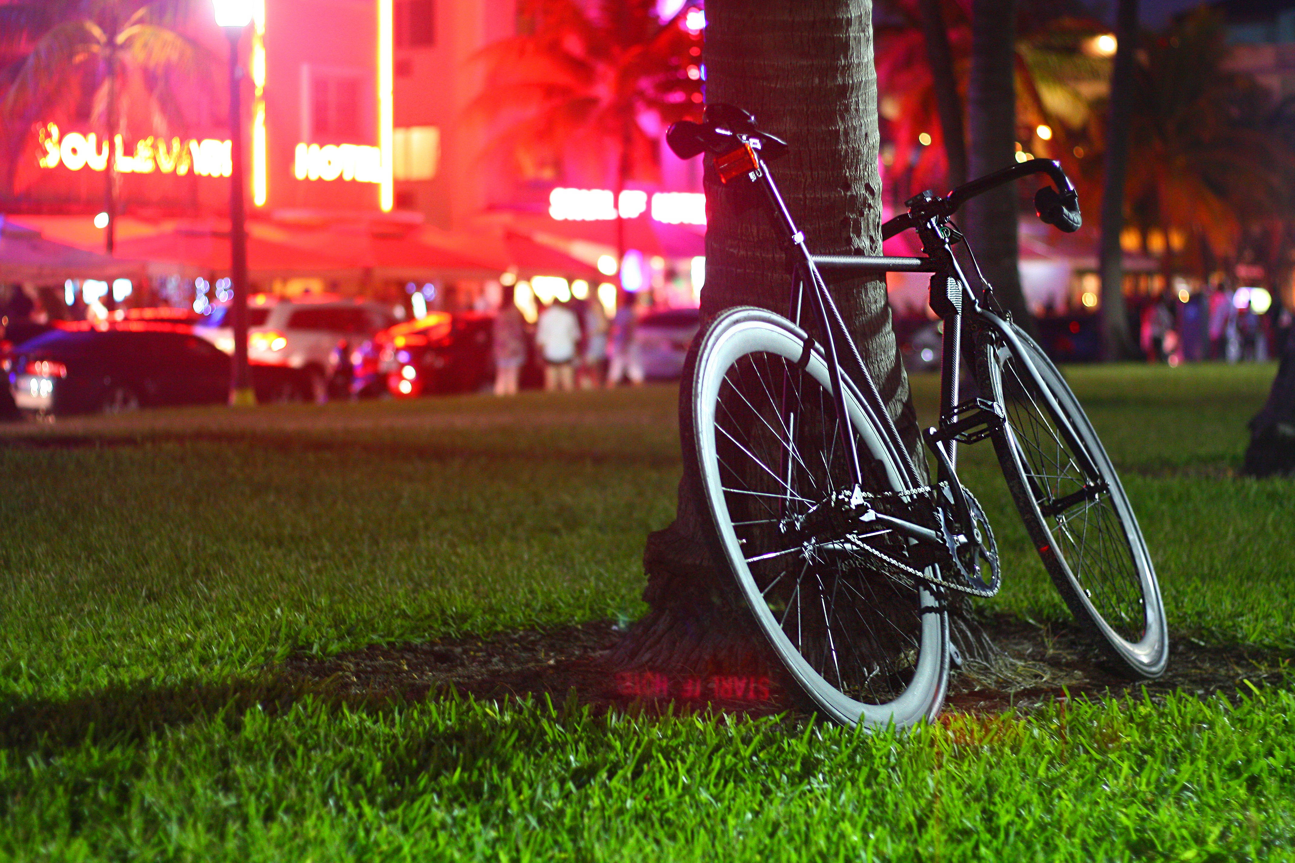 black road bike, palm tree trunk, vibrant green grass, 4K Desktop Wallpaper