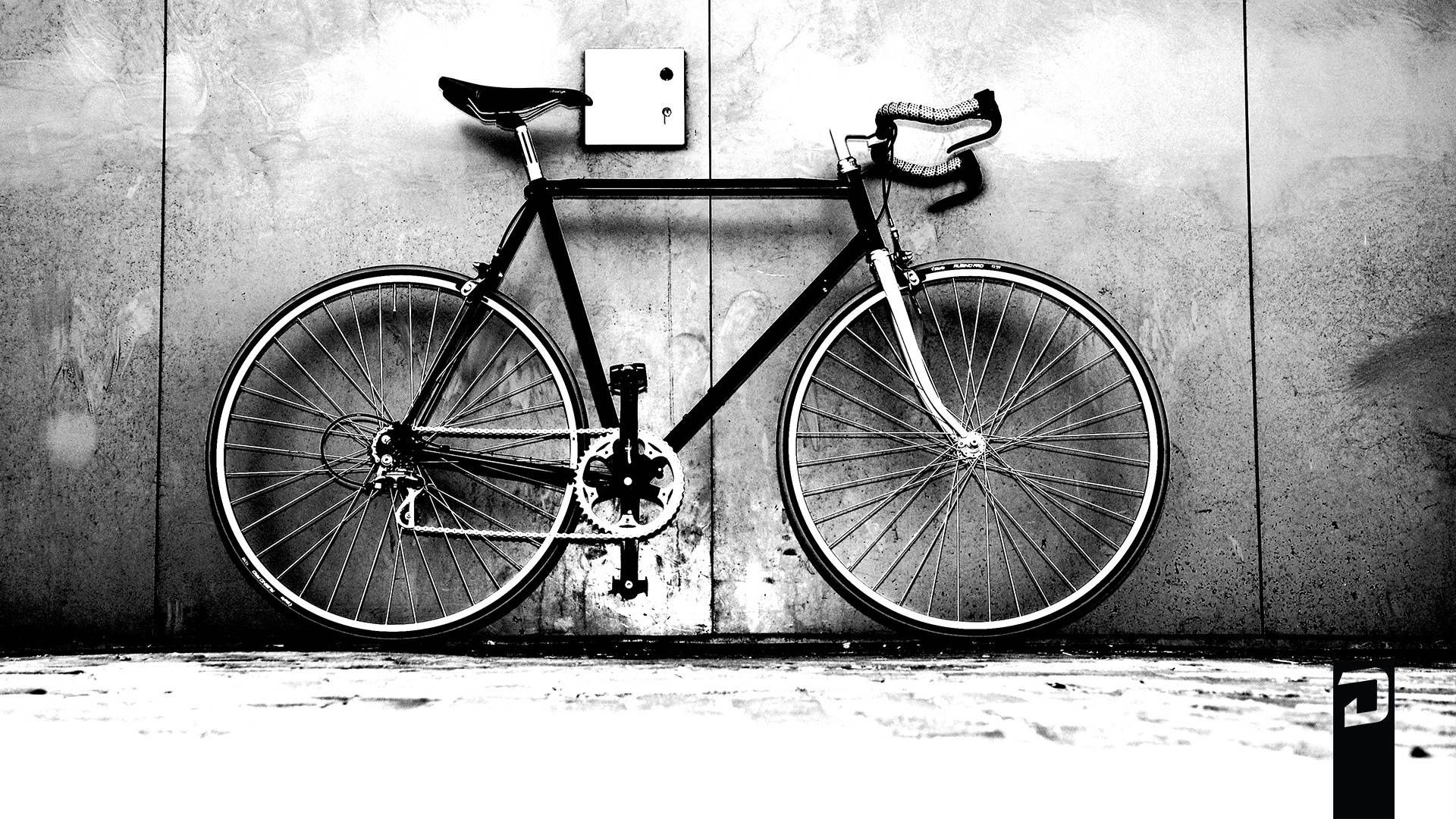 simple black road bike, sleek black bicycle, weathered concrete wall, Full HD Desktop Wallpaper