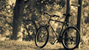 vintage bicycle, wooden post, sun-dappled forest clearing, SD Desktop Wallpaper