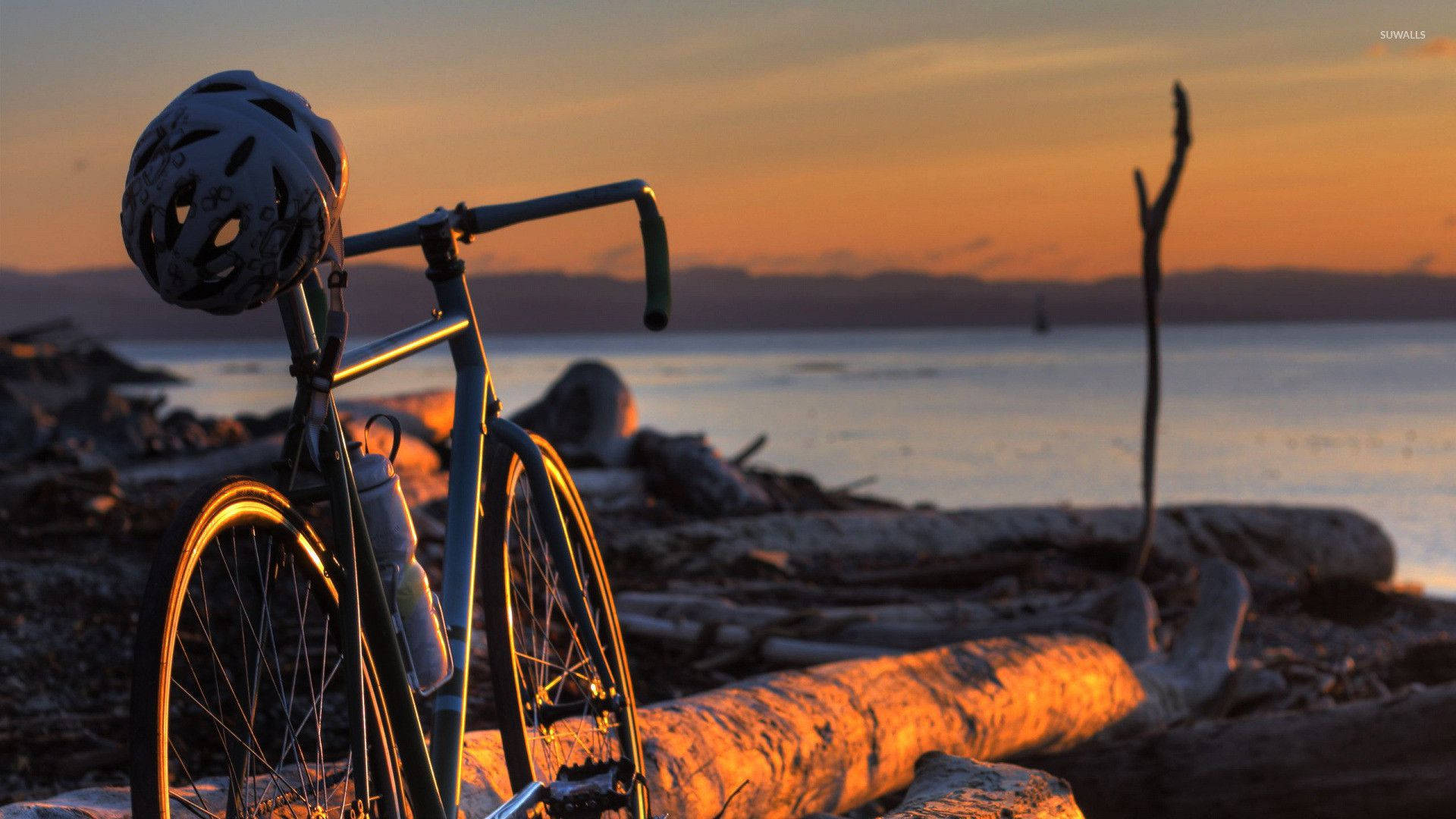 road bike, seashore, fallen tree, Full HD Desktop Wallpaper
