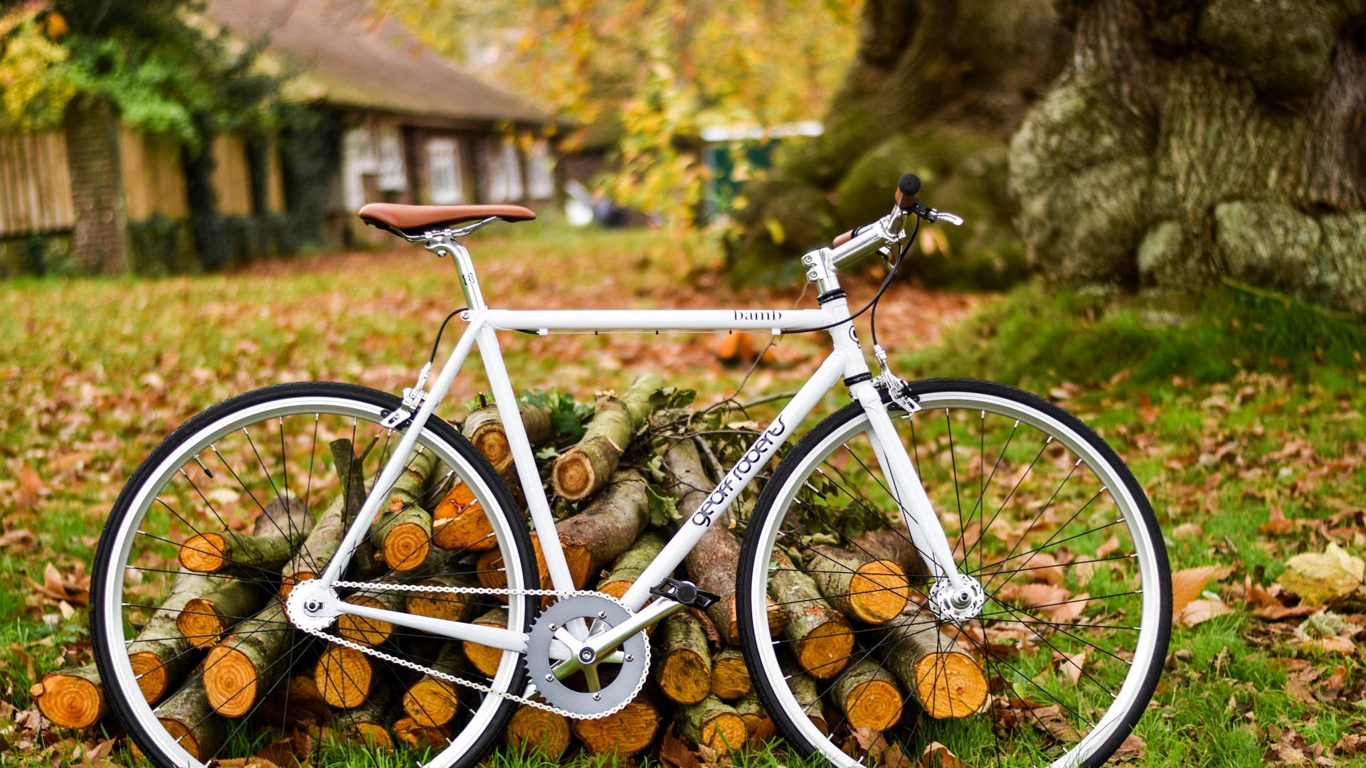 white fixie bicycle, stack of logs, grassy yard, Full HD Desktop Wallpaper