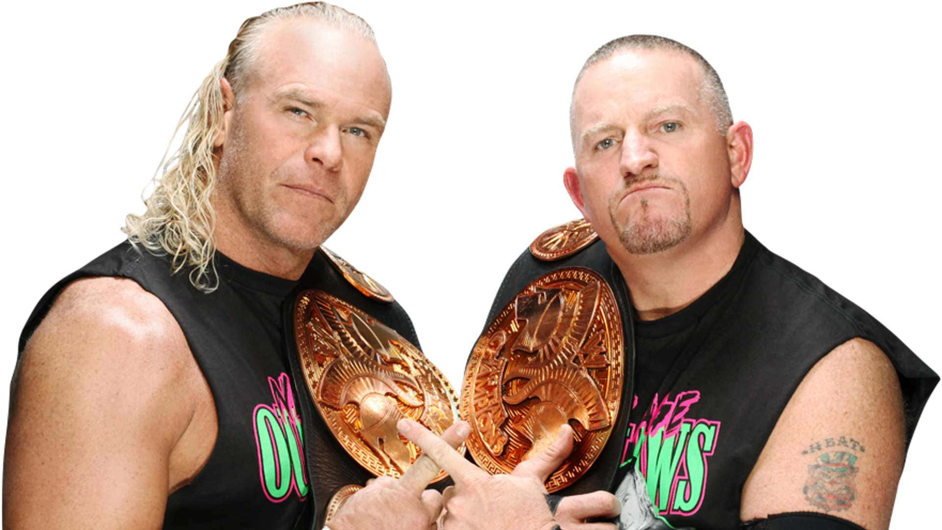 Road Dogg, championship belts, white background, Full HD Desktop Wallpaper