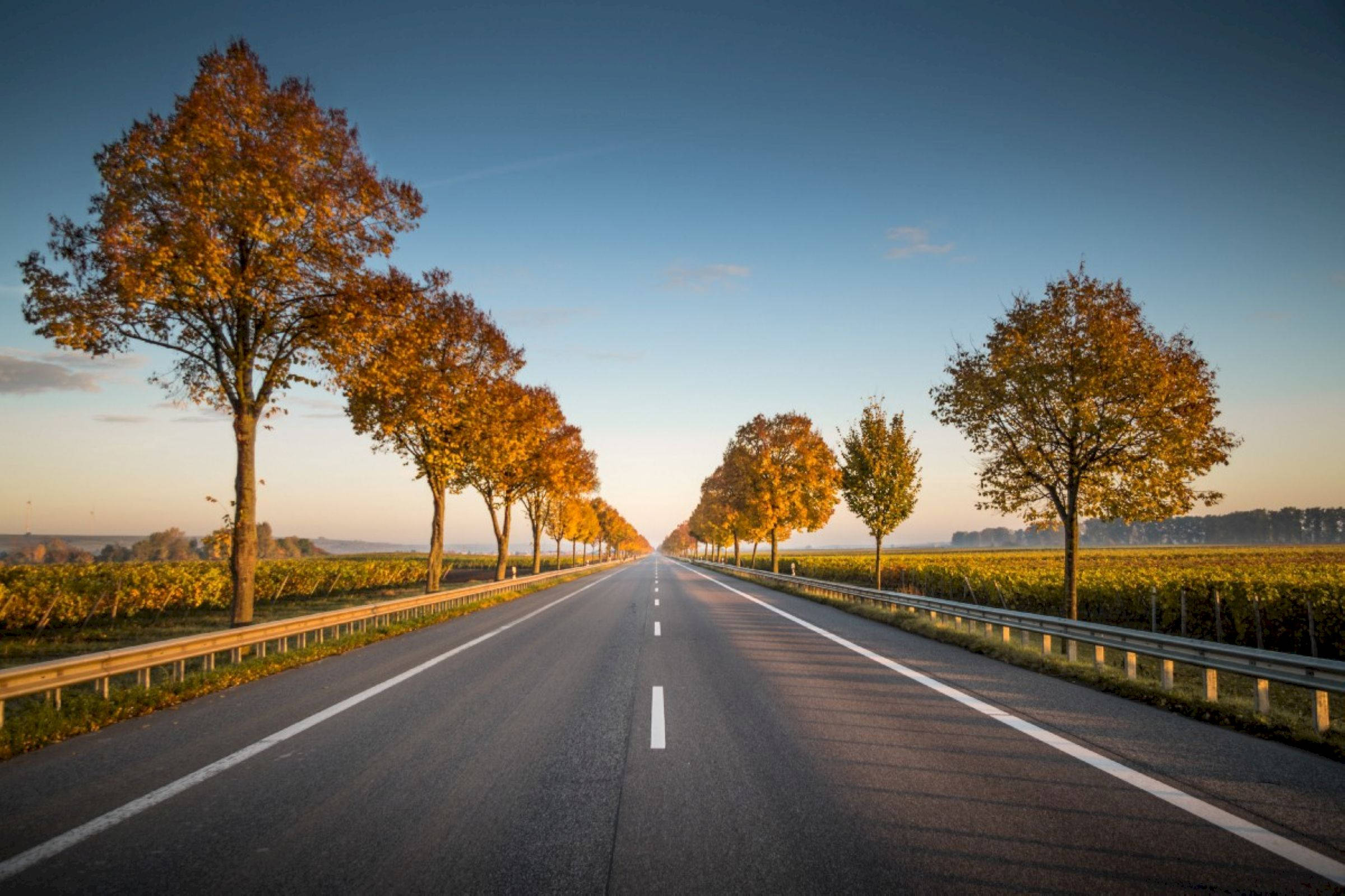 highway, golden autumn trees, clear blue sky, Full HD Desktop Wallpaper