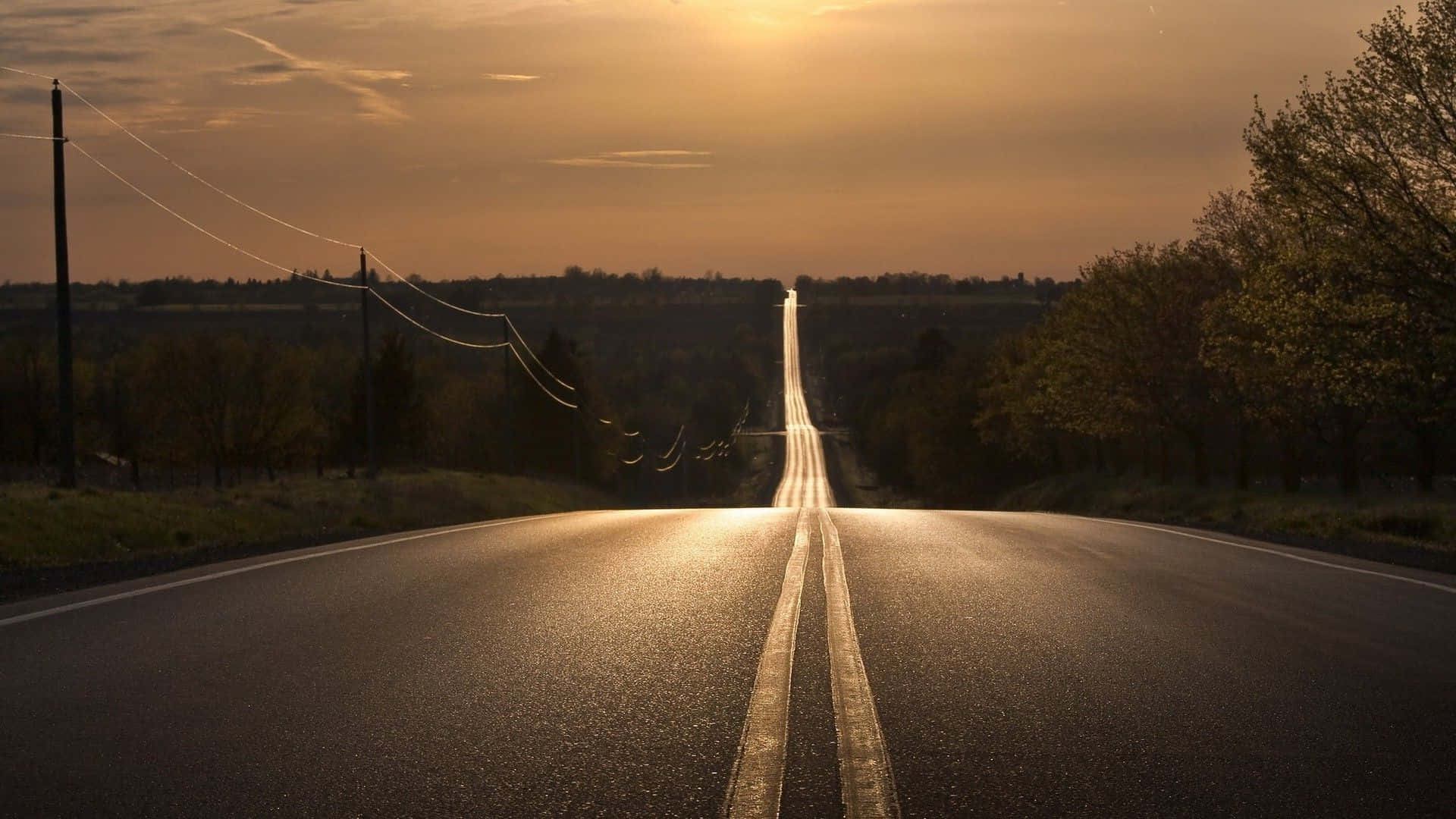 wet asphalt road, glowing sunset horizon, trees, Full HD Desktop Wallpaper