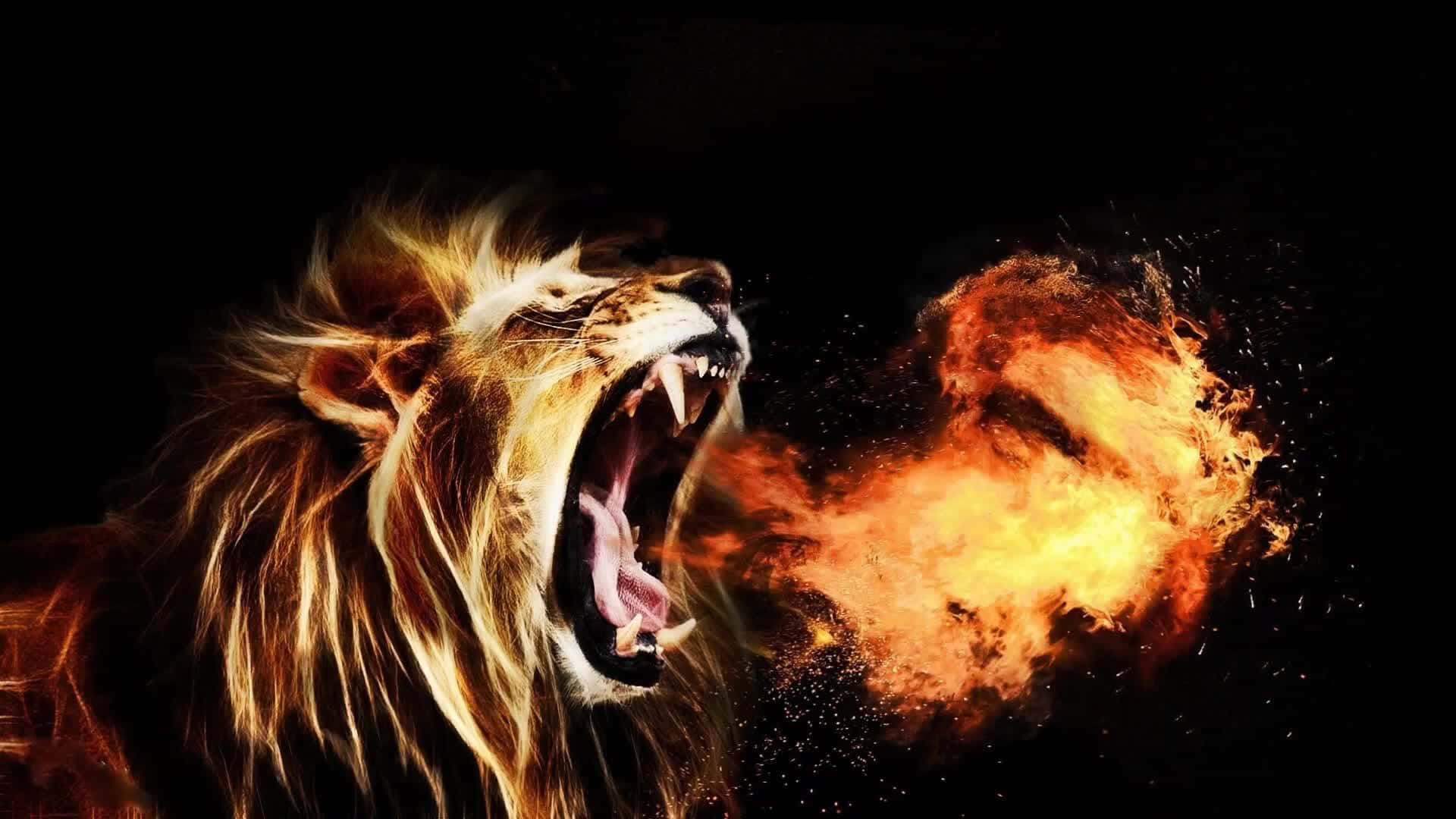 Roaring Lion, fiery mane, blazing explosion of flames, Full HD Desktop Wallpaper