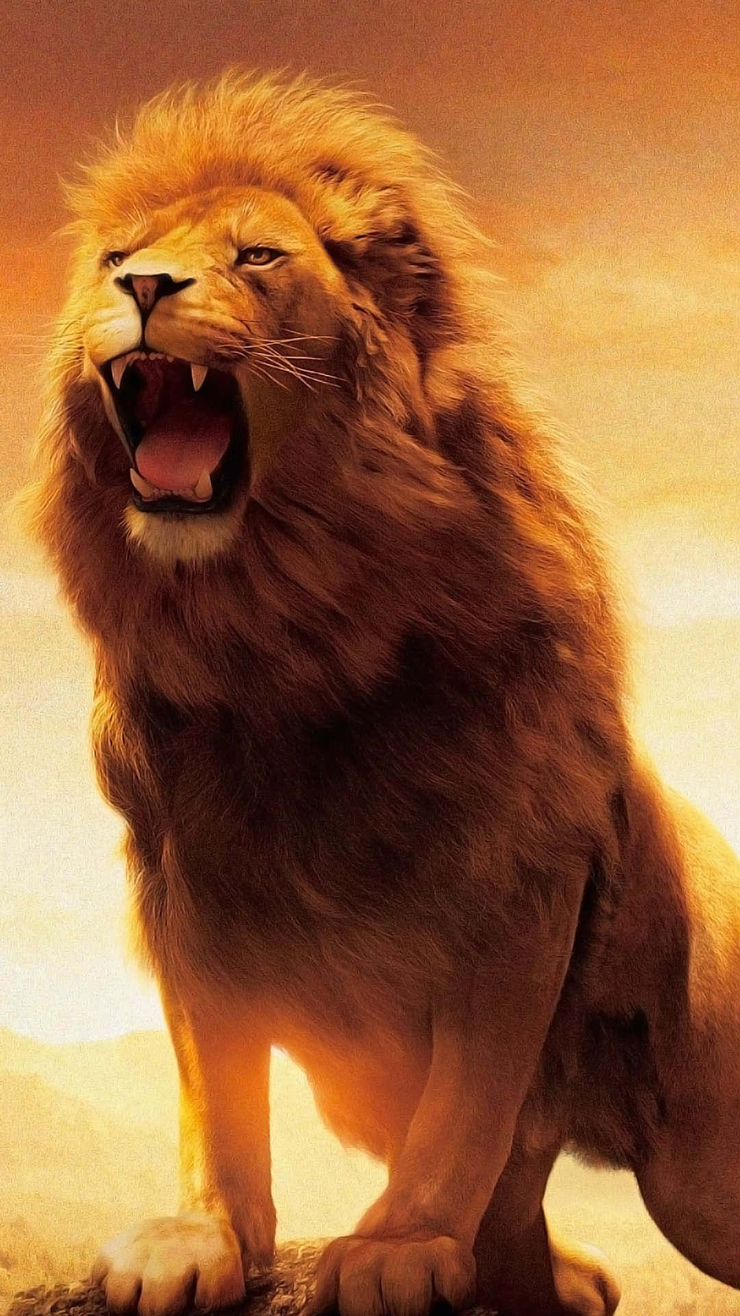 Roaring Lion, mountain, golden sunset, Full HD Phone Wallpaper