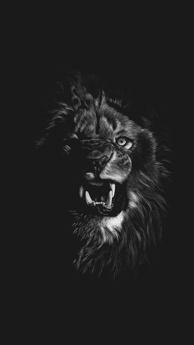 black and white lion, roaring lion, monochrome, HD Phone Wallpaper
