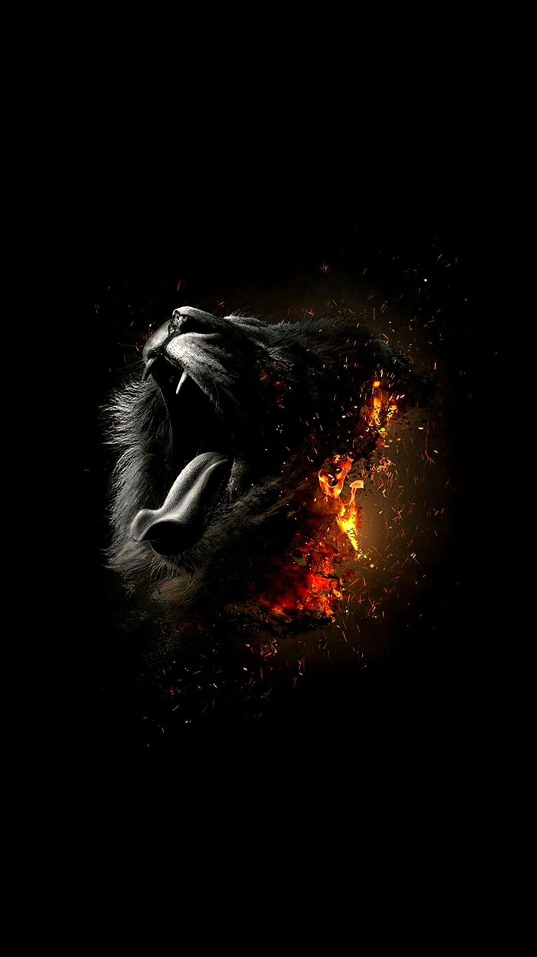 black lion, roaring lion, fiery sparks, HD Phone Wallpaper