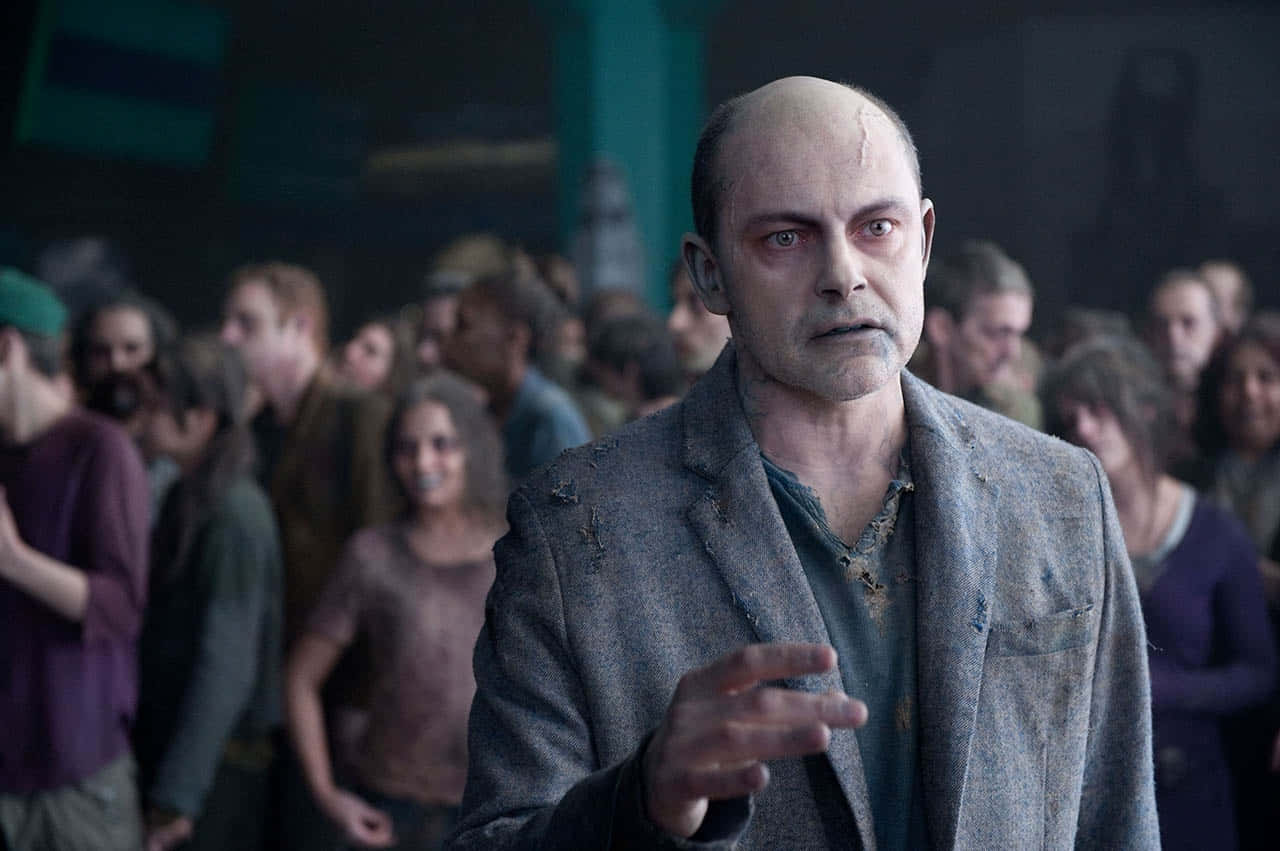 Rob Corddry, bald man, pale skin, HD Desktop Wallpaper