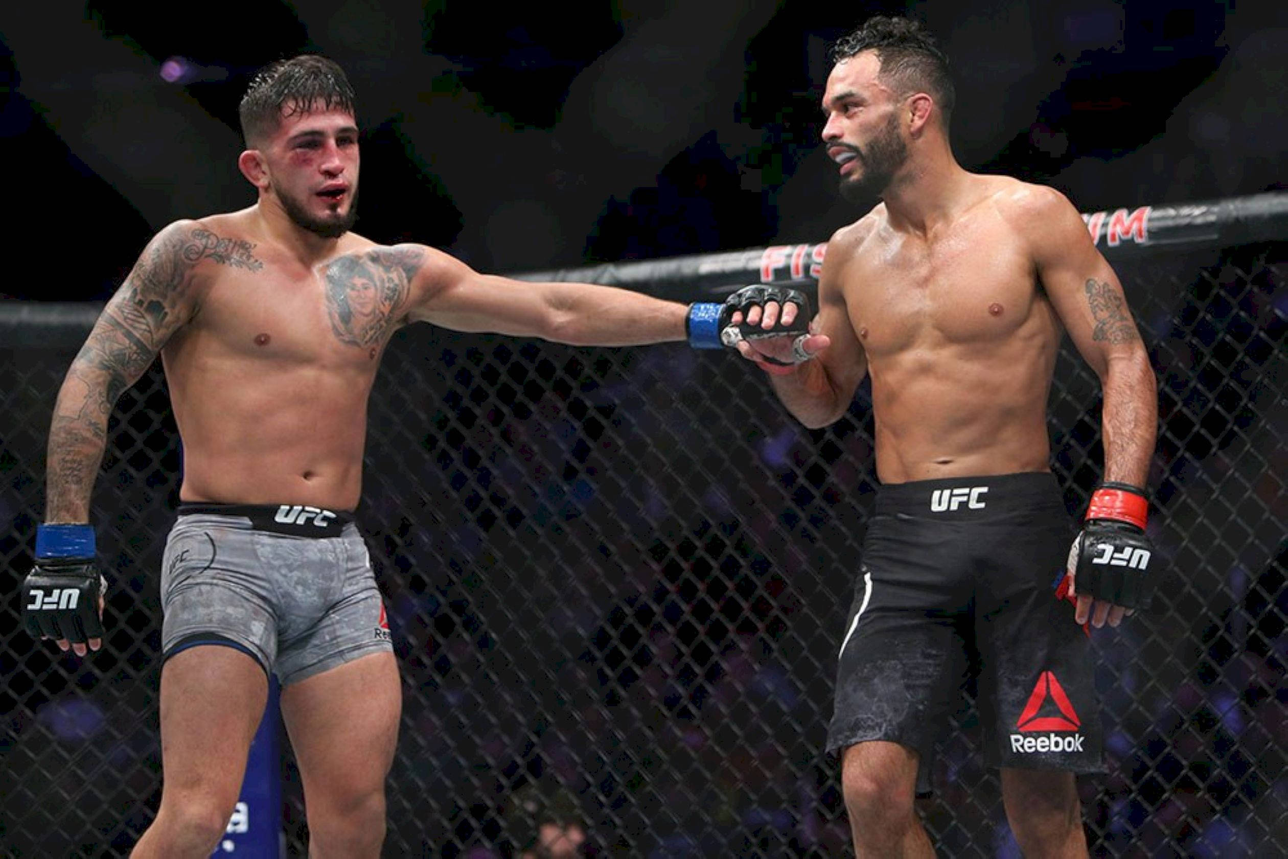Rob Font, UFC fighters, cage, Full HD Desktop Wallpaper