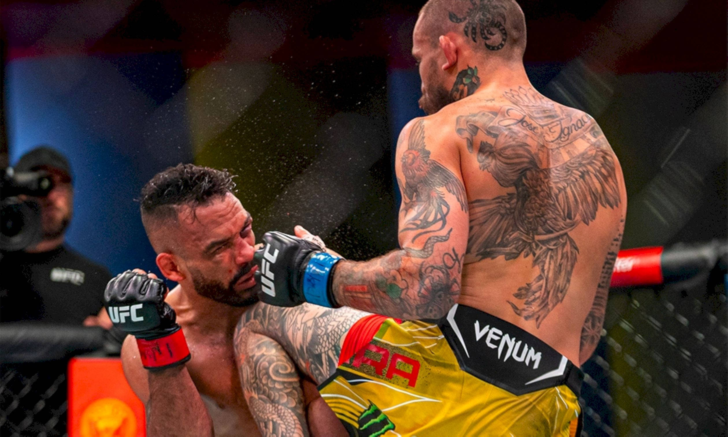 Rob Font, MMA fighters, cage match, Full HD Desktop Wallpaper