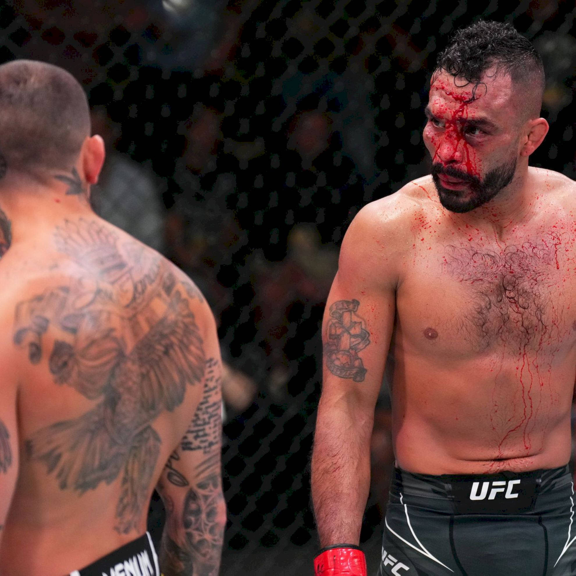 Rob Font, bloody face, MMA fighters, Full HD Desktop Wallpaper
