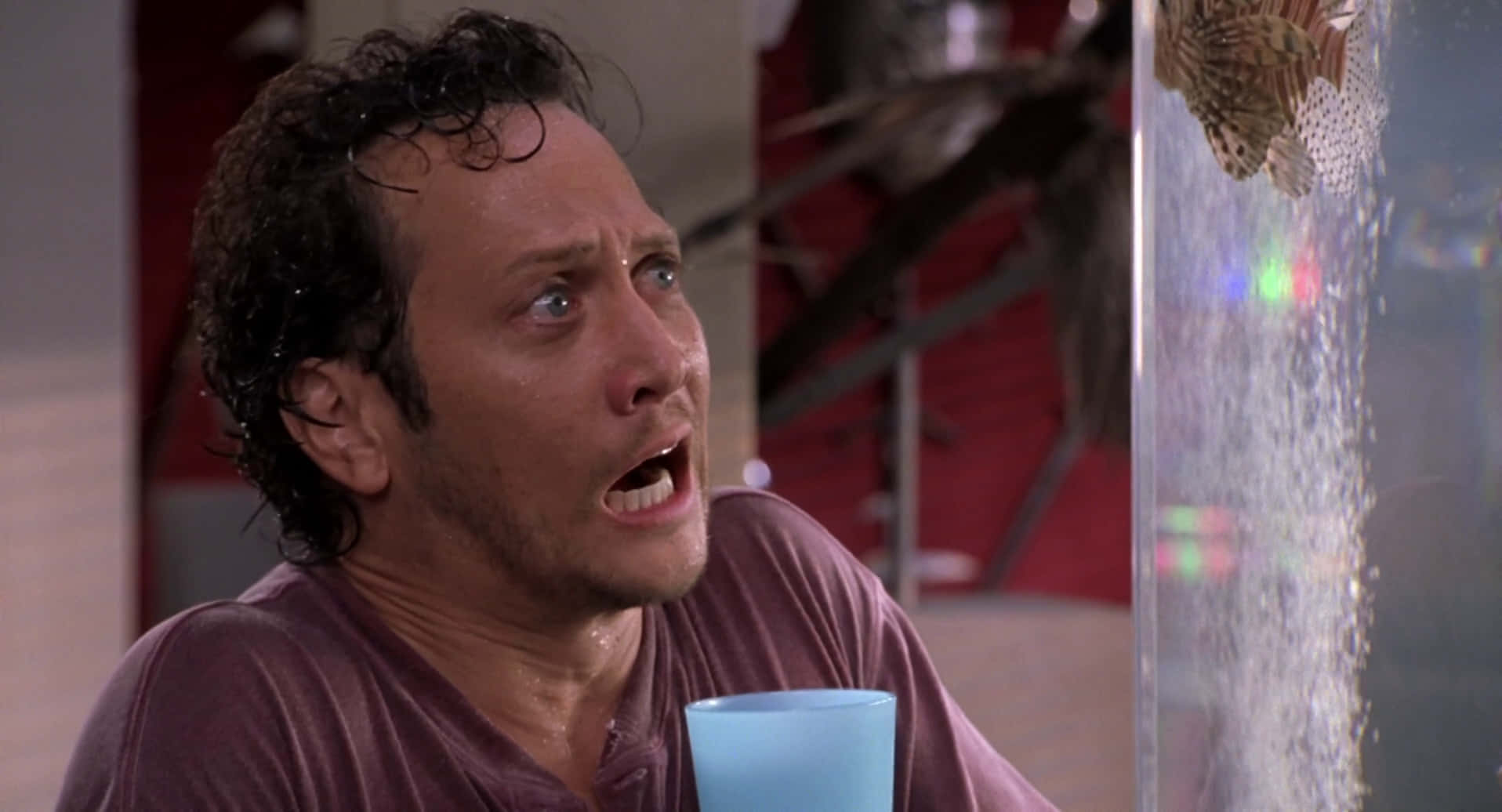 Rob Schneider, aquarium cleaner, fish tank, HD Desktop Wallpaper