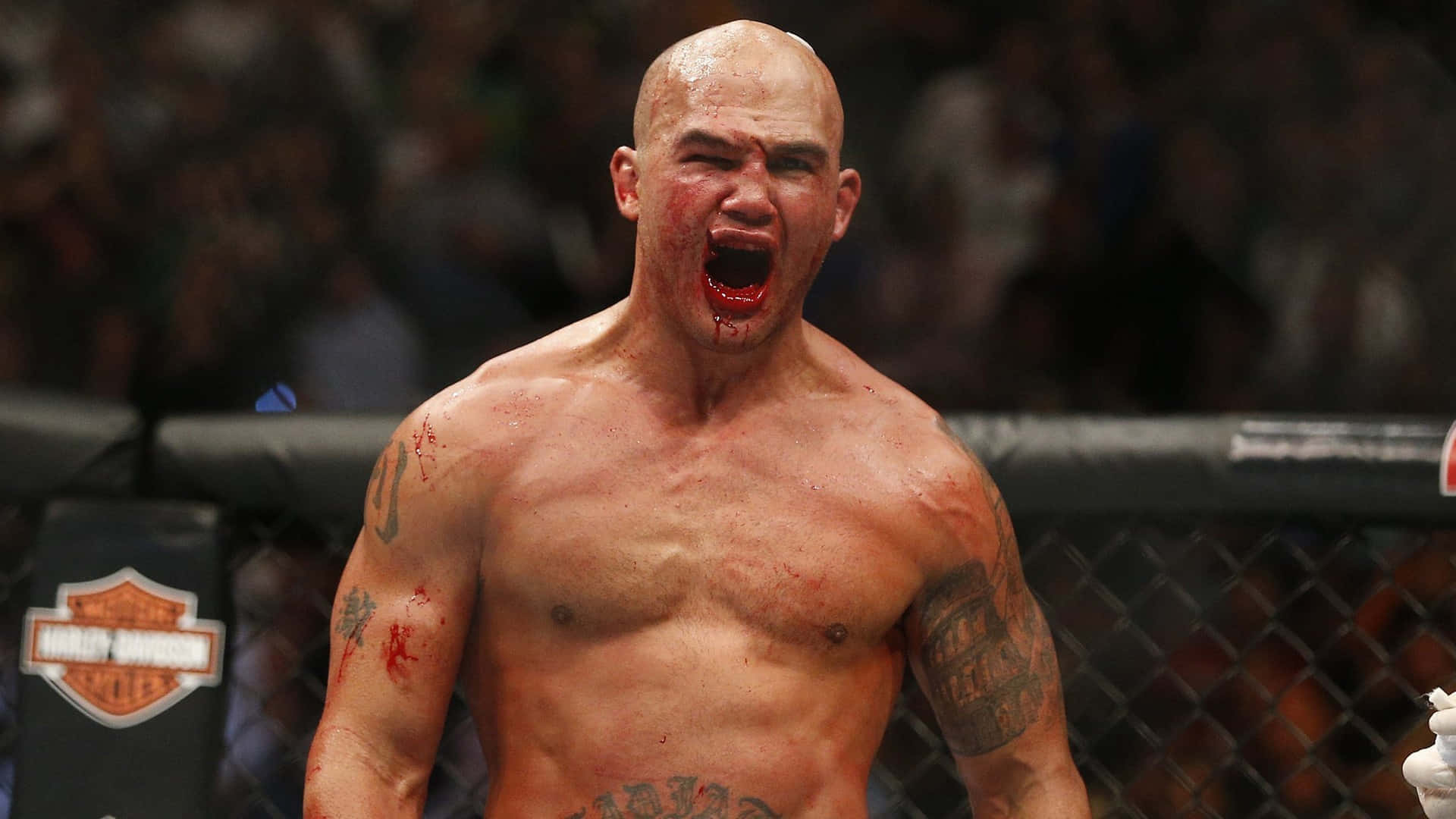 Robbie Lawler, octagon, bald MMA fighter, Full HD Desktop Wallpaper