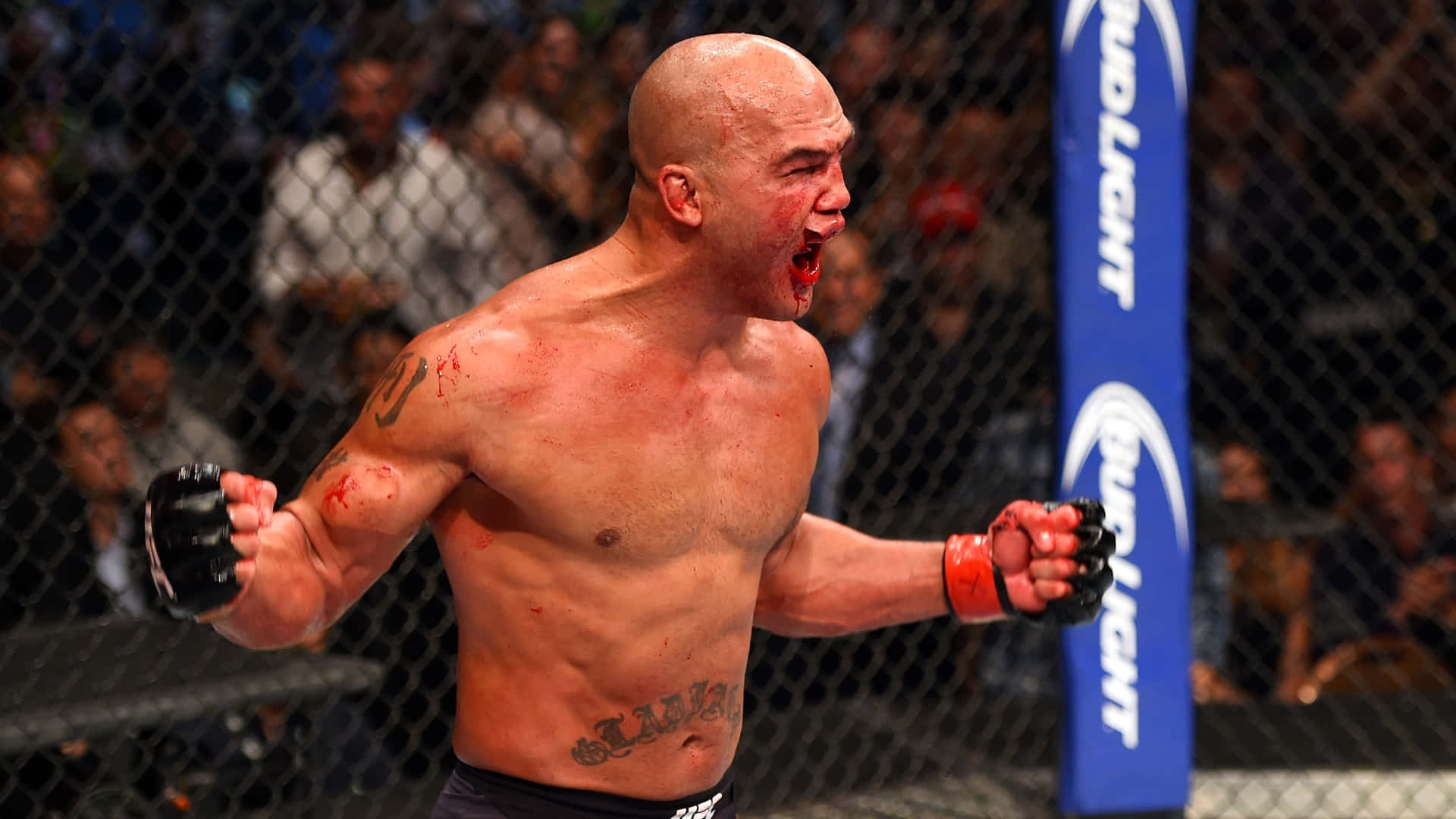 Robbie Lawler, octagon, bald MMA fighter, Full HD Desktop Wallpaper