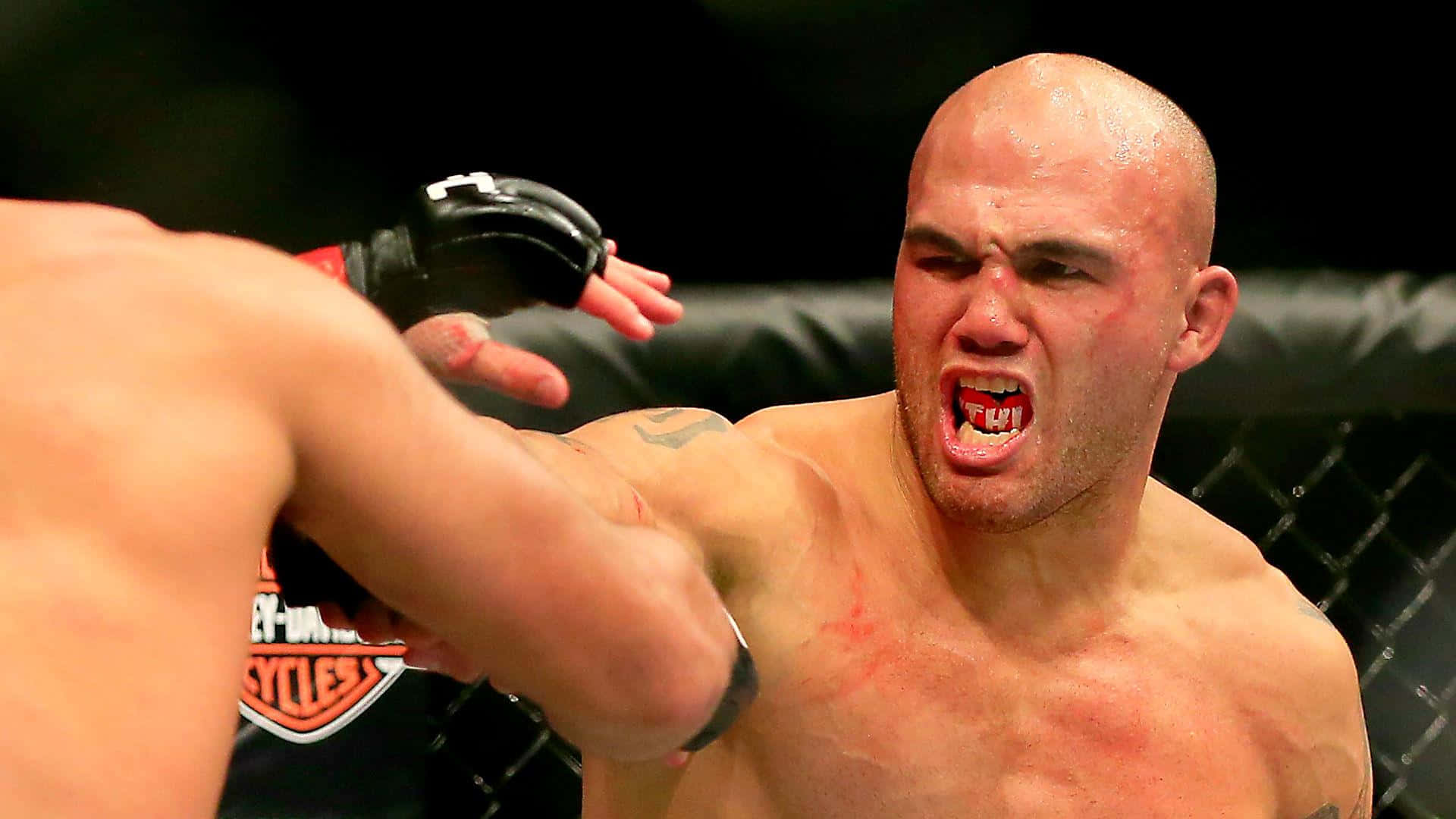 Robbie Lawler, MMA match, cage, Full HD Desktop Wallpaper