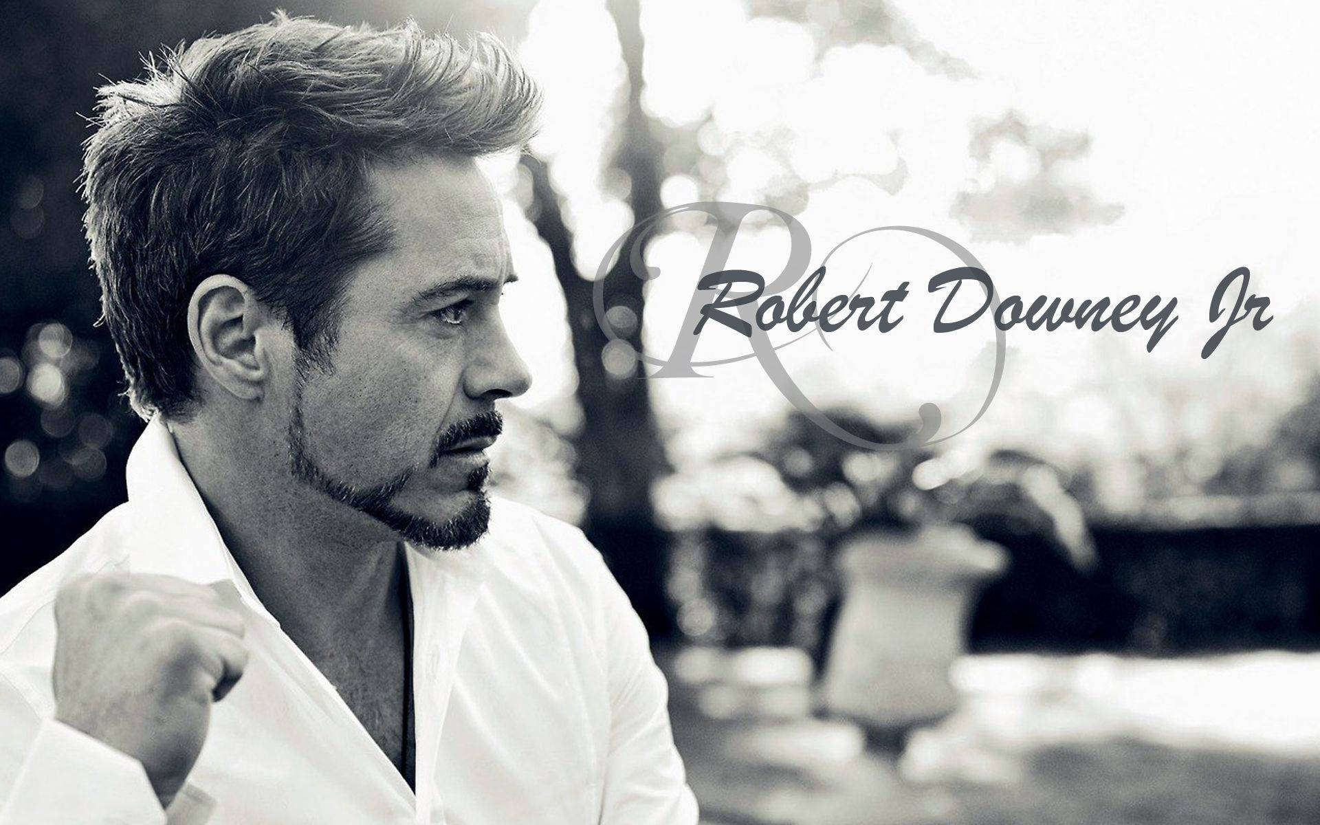 Robert Downey Jr, black and white profile portrait, soft outdoor lighting, Full HD Desktop Wallpaper