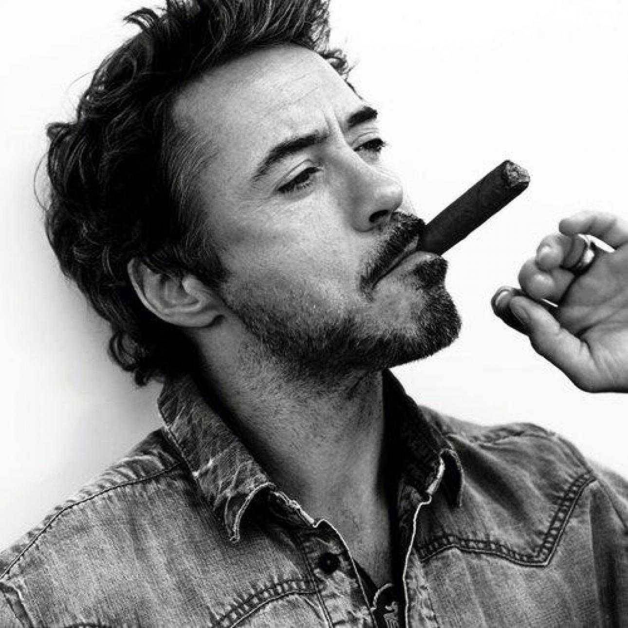 Robert Downey Jr, cigar, black and white portrait, HD Desktop Wallpaper