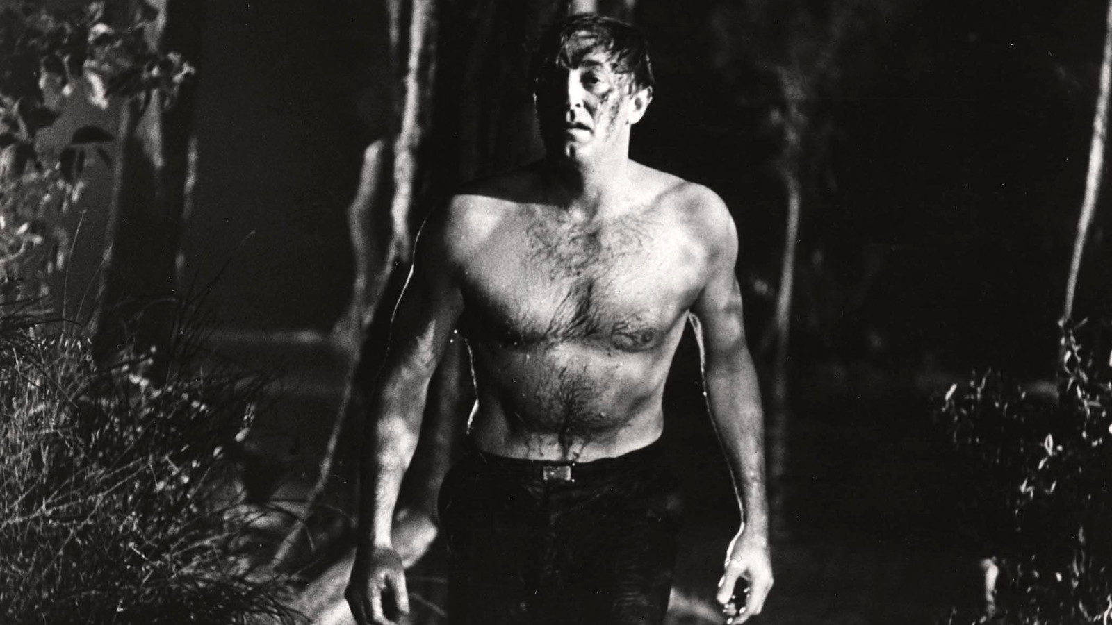 Robert Mitchum, shirtless, dark forest, HD Desktop Wallpaper