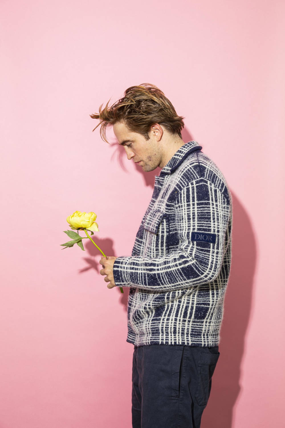 Robert Pattinson, plaid jacket, yellow rose, HD Phone Wallpaper
