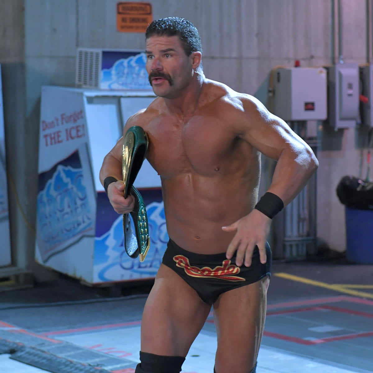 Robert Roode, championship belt, backstage area, SD Desktop Wallpaper