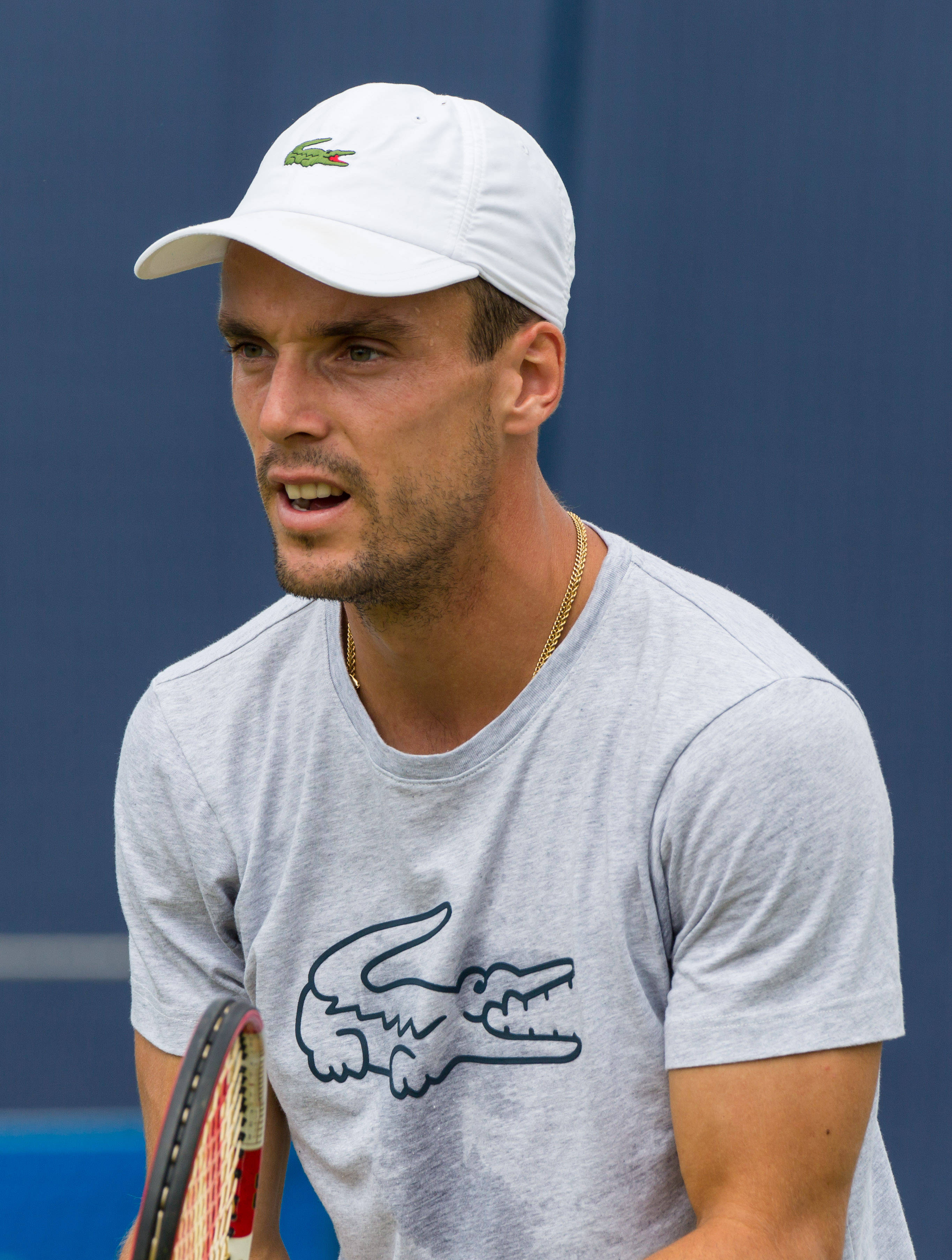 Roberto Bautista Agut, white cap, gray Lacoste shirt, 2K Phone Wallpaper