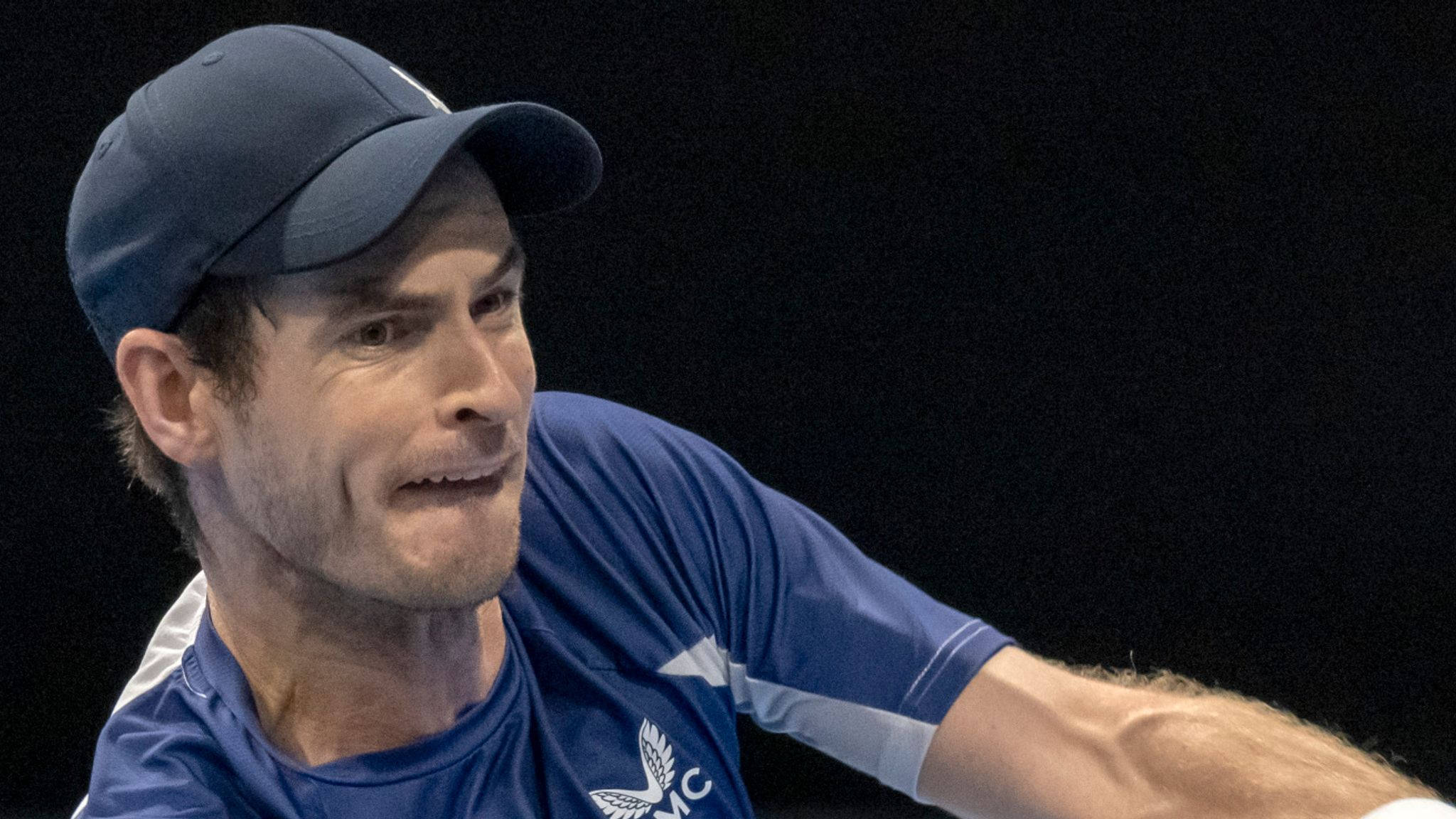 Roberto Bautista Agut, blue cap, blue shirt, Full HD Desktop Wallpaper