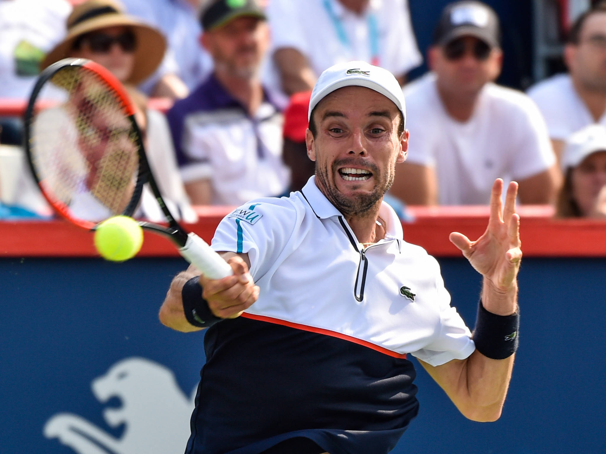 Roberto Bautista Agut, tennis player, yellow ball, Full HD Desktop Wallpaper