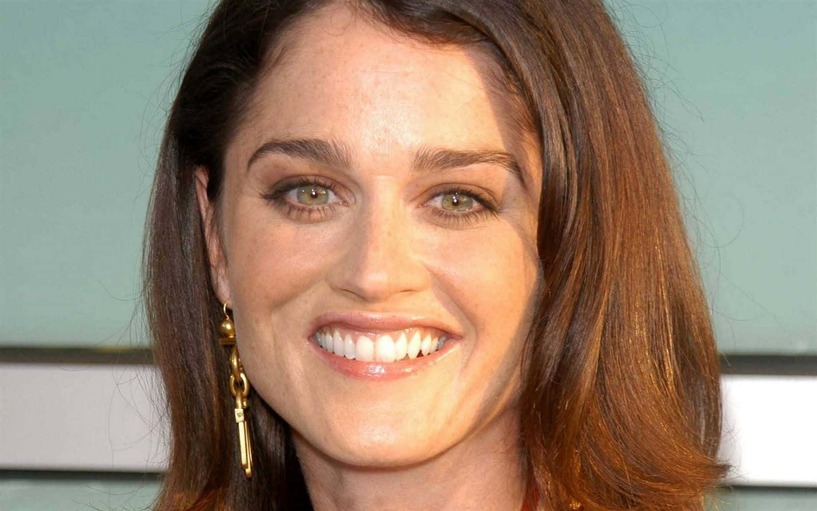 Robin Tunney, warm brown hair, golden earrings, HD Desktop Wallpaper