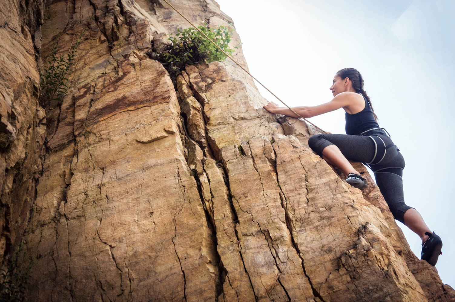 vertical crawl, sport climbing, rugged sunlit rock face, HD Desktop Wallpaper