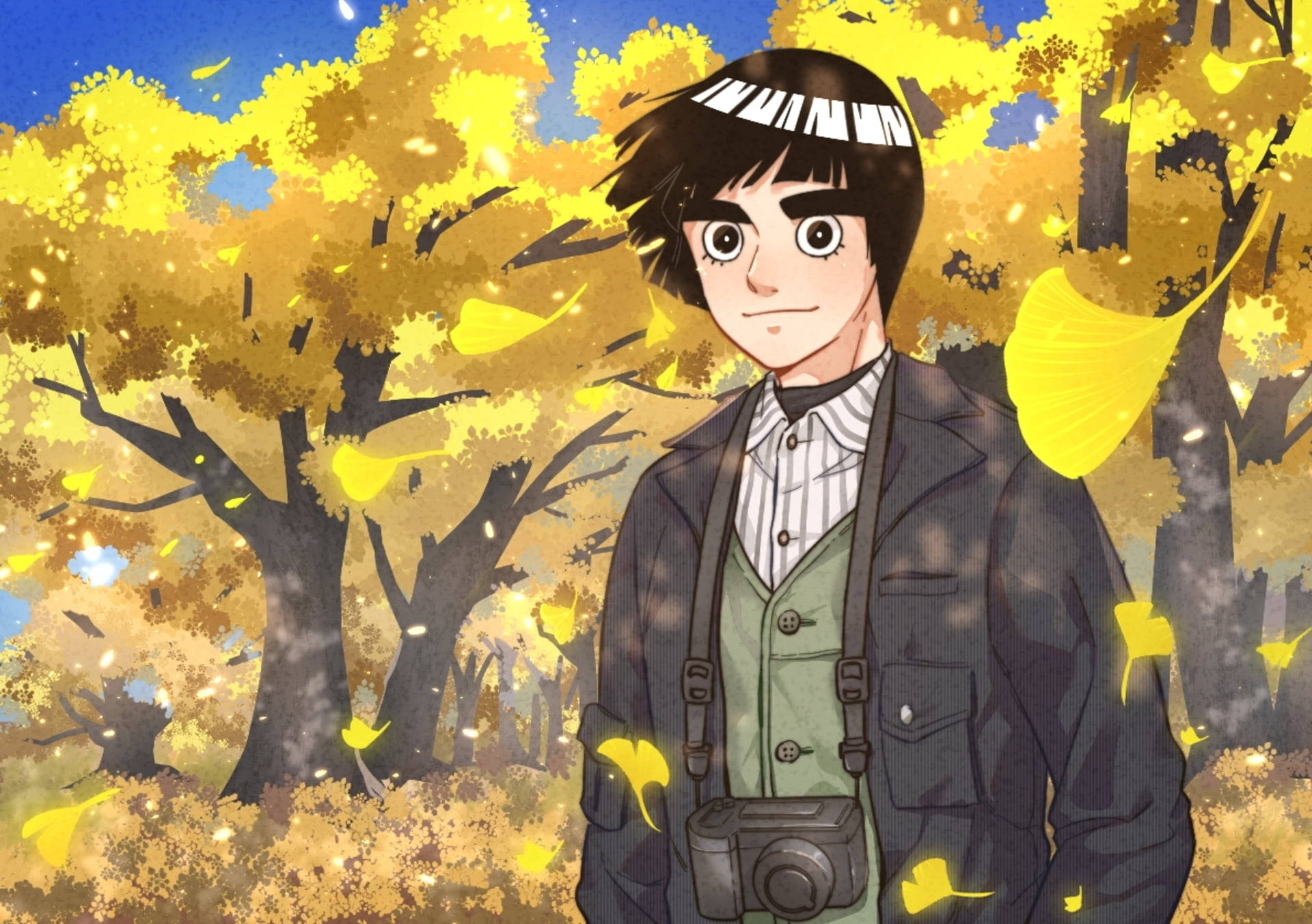 Rock Lee, autumn forest, falling golden leaves, Full HD Desktop Wallpaper