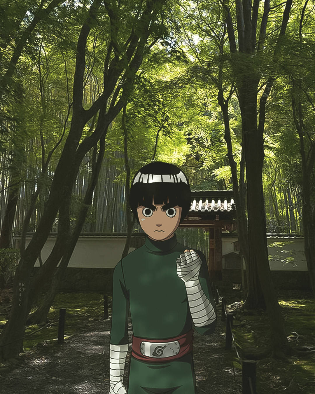 Rock Lee, bamboo forest, sunlit, HD Phone Wallpaper