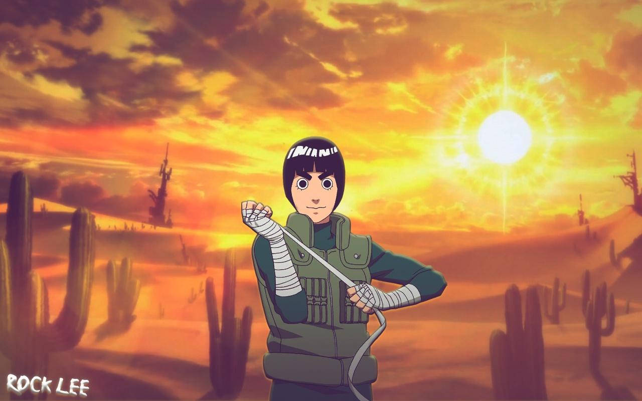 Rock Lee, desert, sunset, HD Desktop Wallpaper