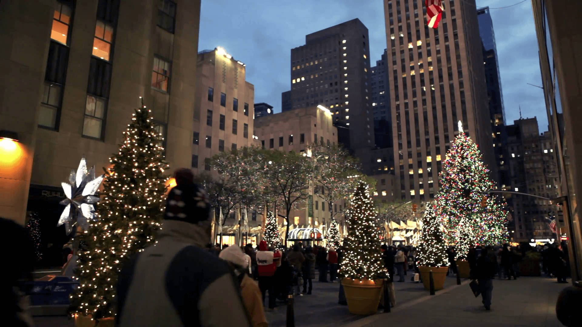 Rockefeller Center, Christmas trees, dusk, Full HD Desktop Wallpaper