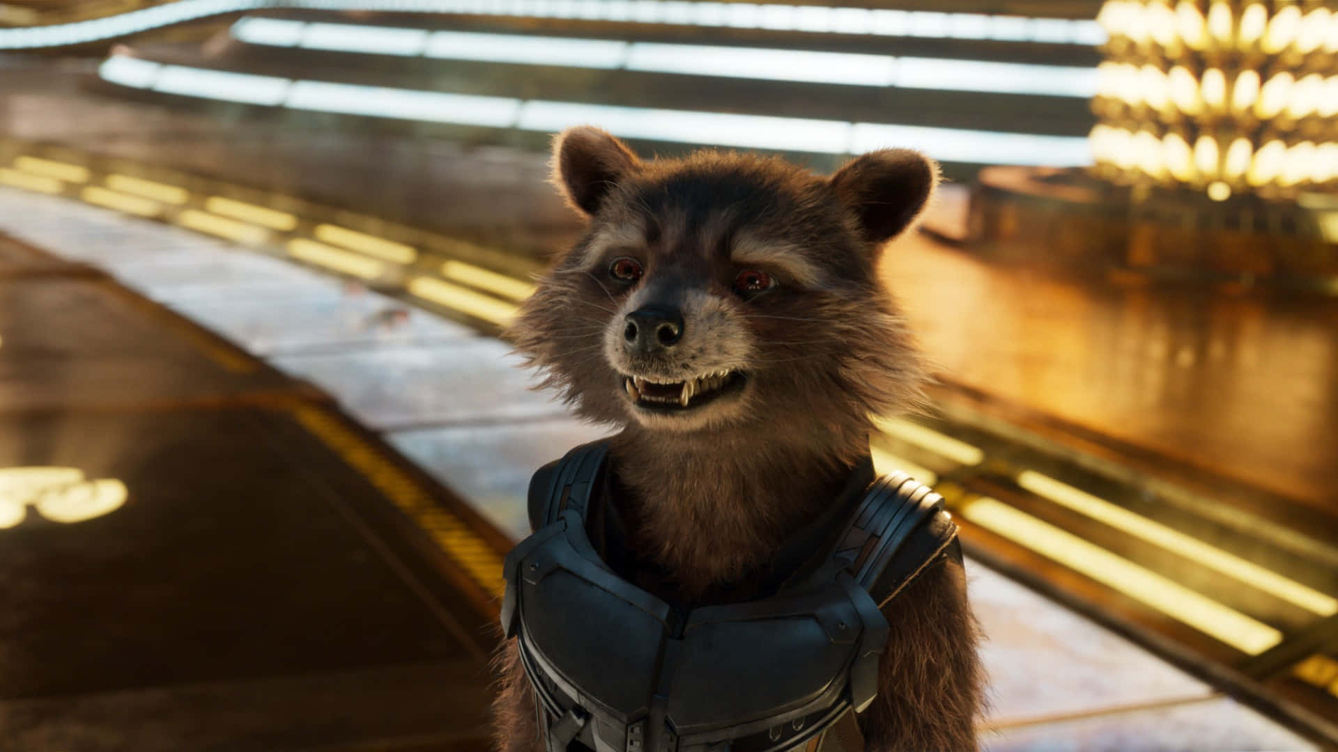 Rocket Raccoon, black armored vest, futuristic golden lit corridor, Full HD Desktop Wallpaper