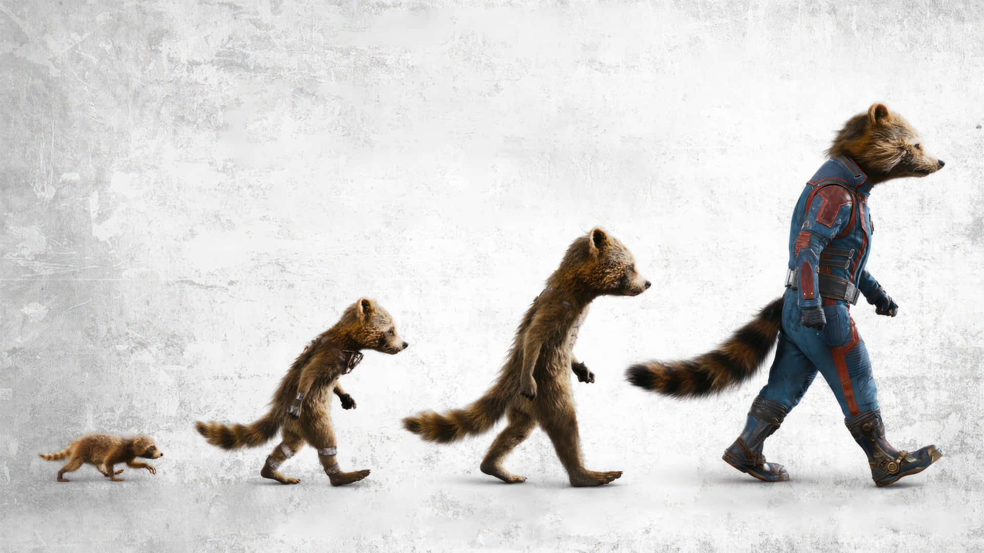Rocket Raccoon, armored hero, textured gray wall, Full HD Desktop Wallpaper