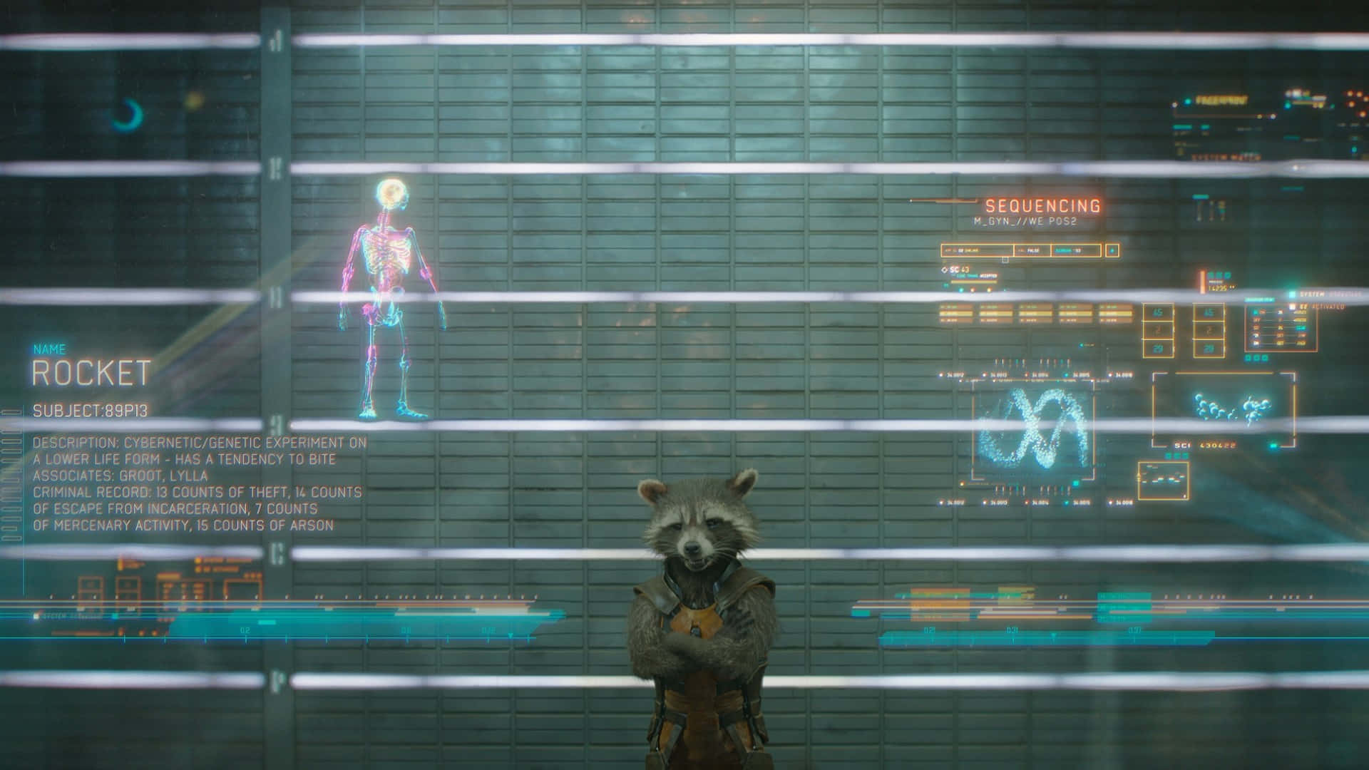 Rocket Raccoon, brown vest, glowing futuristic interface, Full HD Desktop Wallpaper