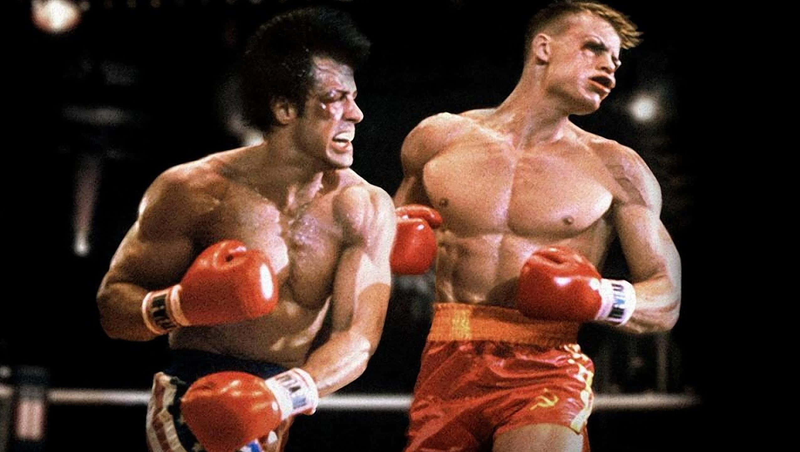 Rocky Balboa, boxing match, red gloves, Full HD Desktop Wallpaper