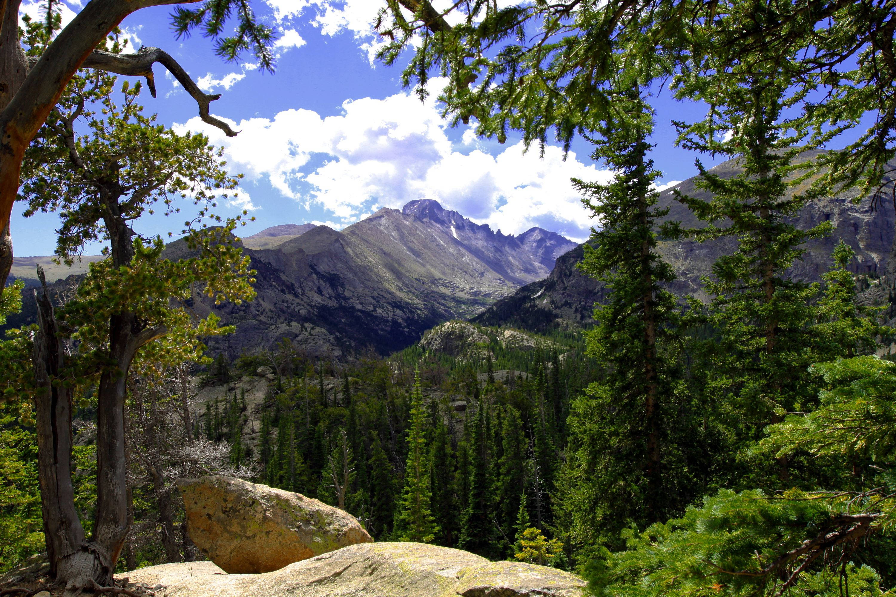 Rocky Mountain National Park, cliff, pine trees, 2K Desktop Wallpaper