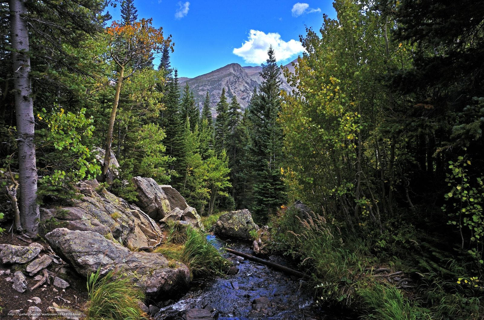 Rocky Mountain National Park, bubbling brook, mountain stream, HD Desktop Wallpaper