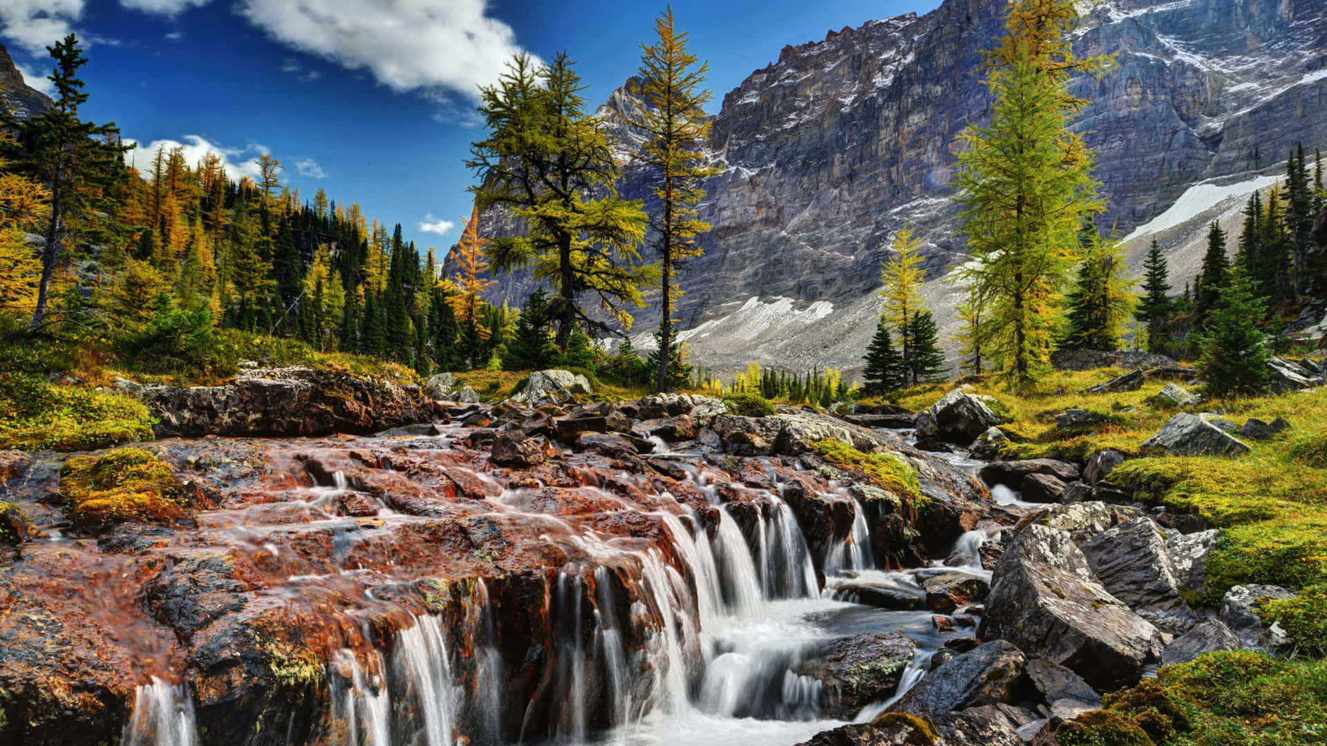 Rocky Mountains National Park, autumn trees, snow-dusted peaks, Full HD Desktop Wallpaper