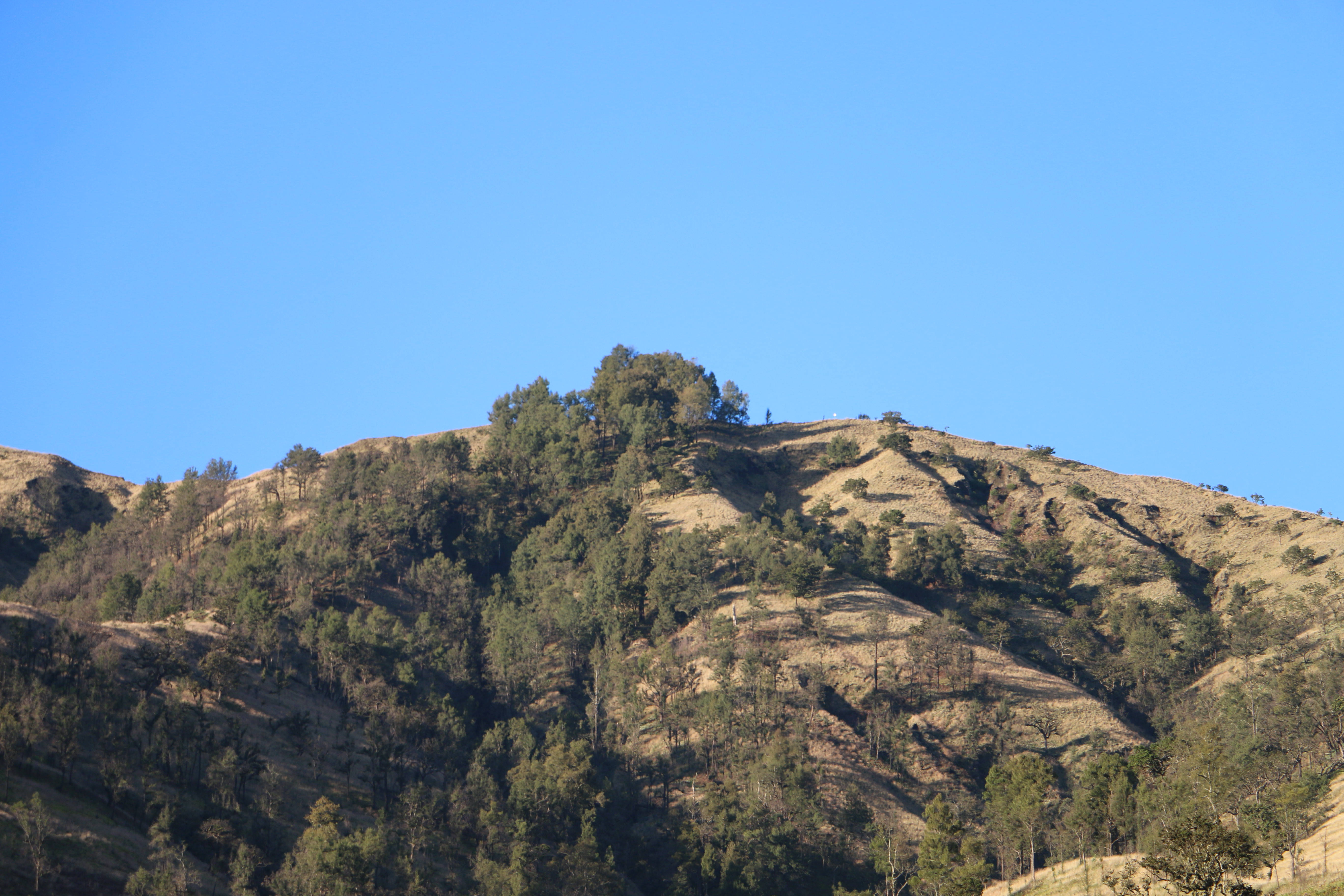 brown rocky mountaintop, sunlit hillside, scattered green trees, 5K Desktop Wallpaper