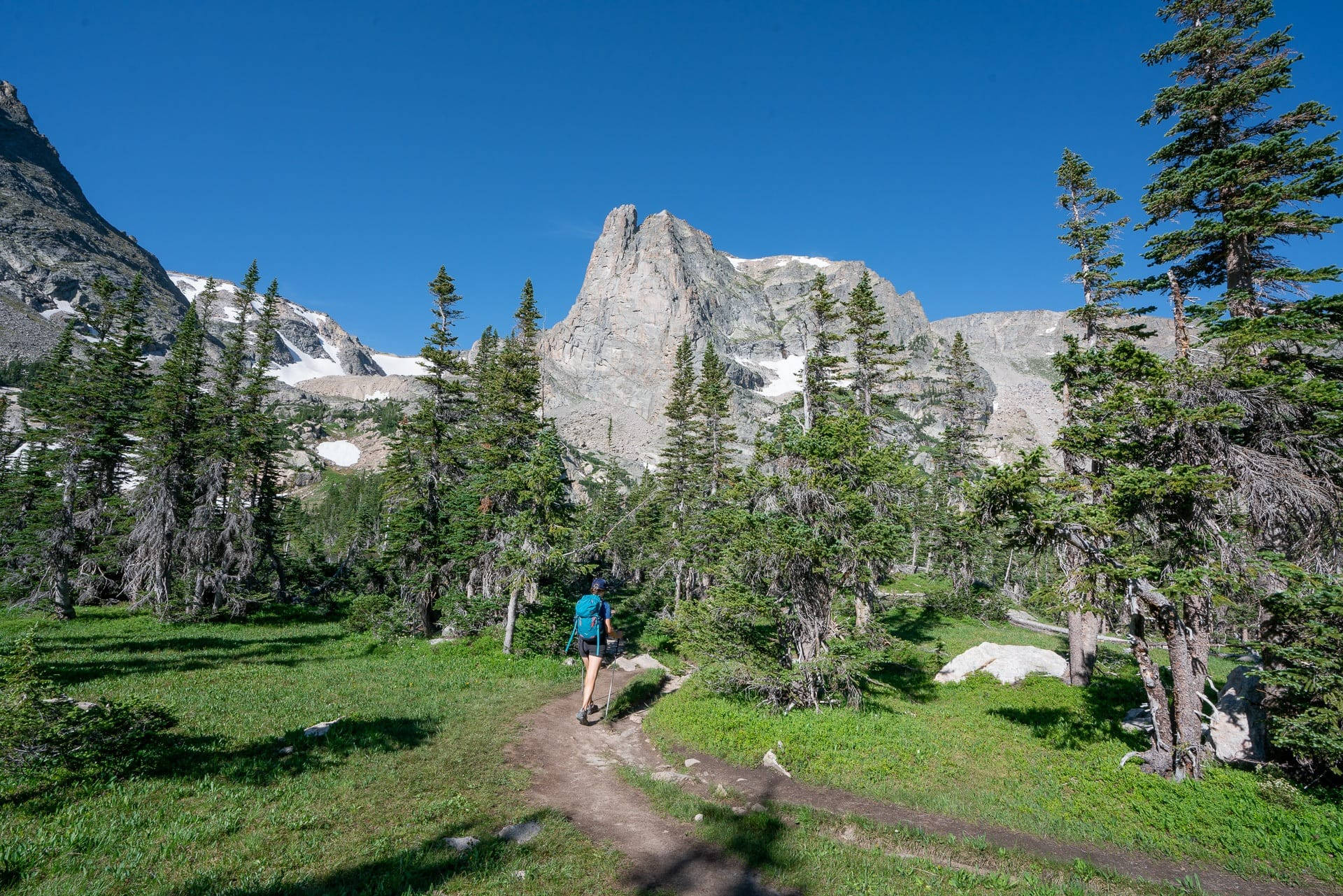 Rocky Mountain National Park, dirt trail, green meadows, Full HD Desktop Wallpaper