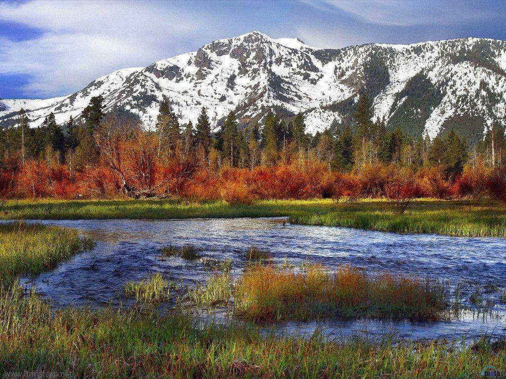 Rocky Mountain, autumn river, vibrant grasslands, SD Desktop Wallpaper