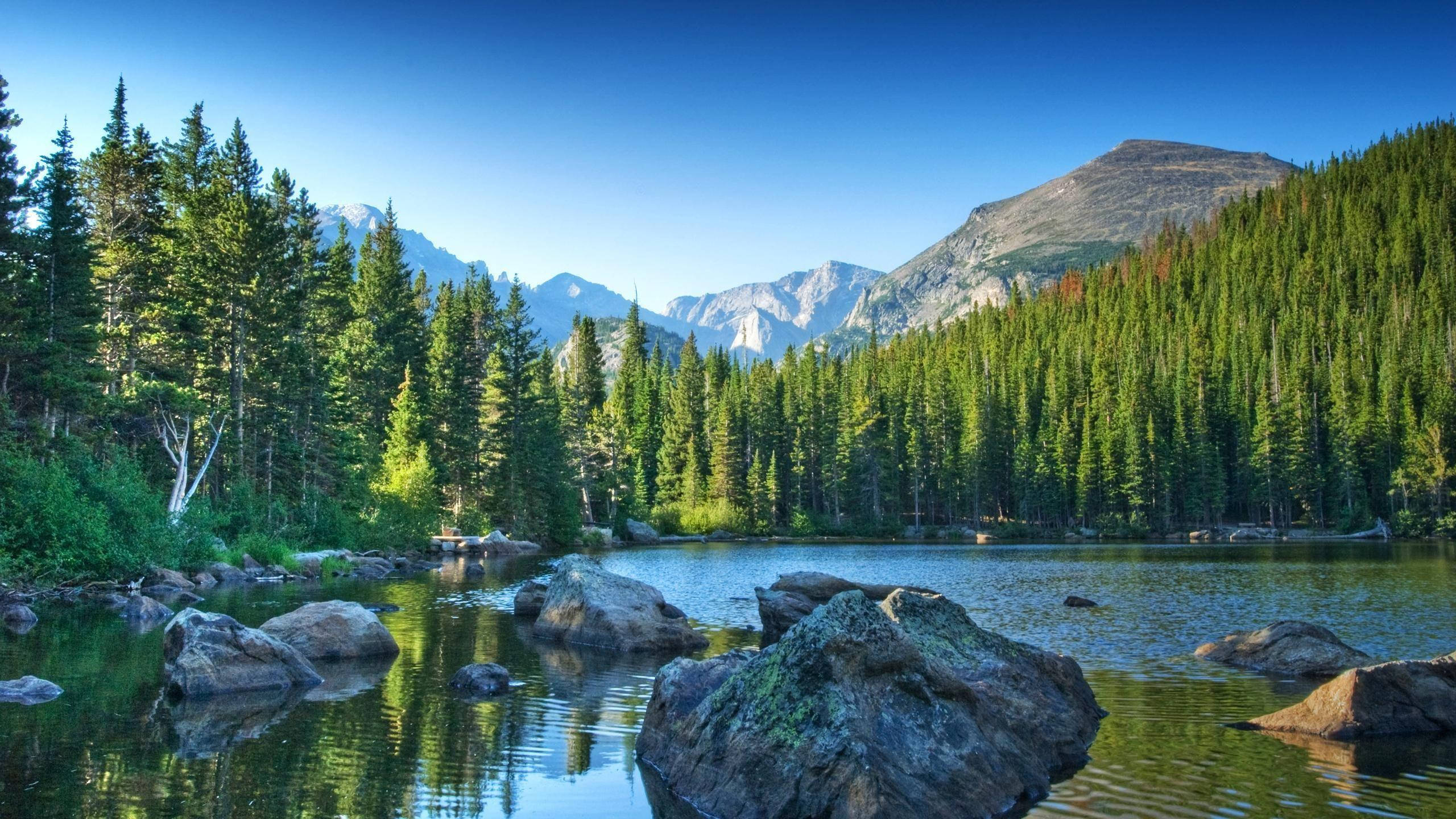 Rocky Mountain, stone-filled lake, dense evergreen forests, 2K Desktop Wallpaper