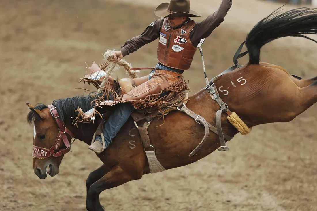 Rodeo