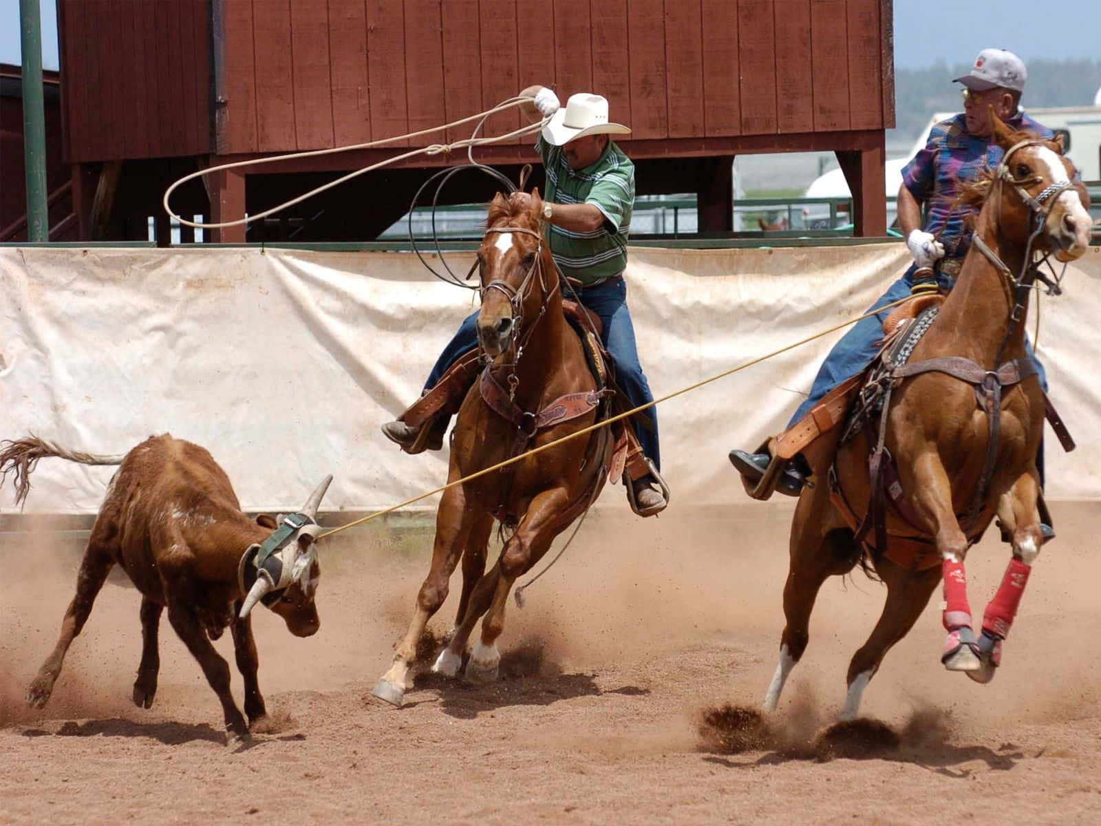 Rodeo, cowboys, galloping horses, HD Desktop Wallpaper